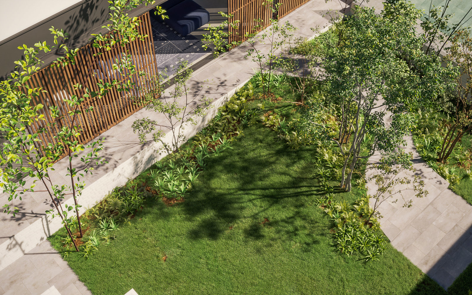 Small Tree Collection - Include GrowFX and Mesh file 3D model_3