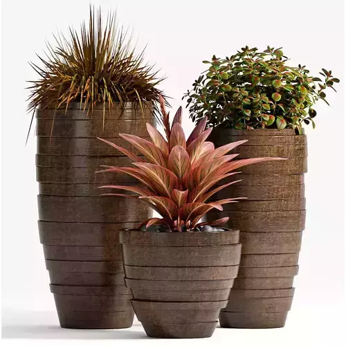 Decorative plant set-66