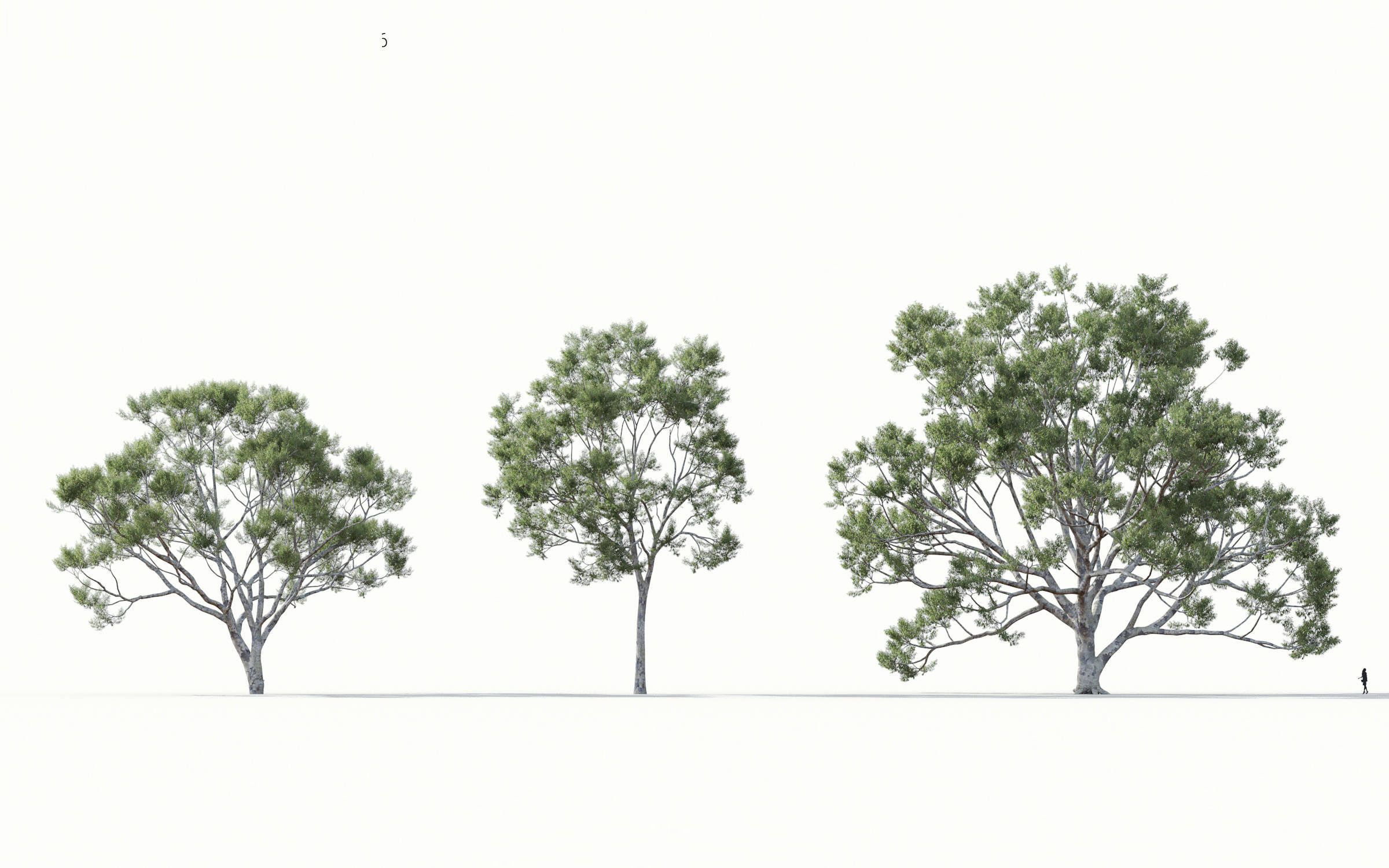 Green trees Collection - Include GrowFX and Mesh file 3D model_9