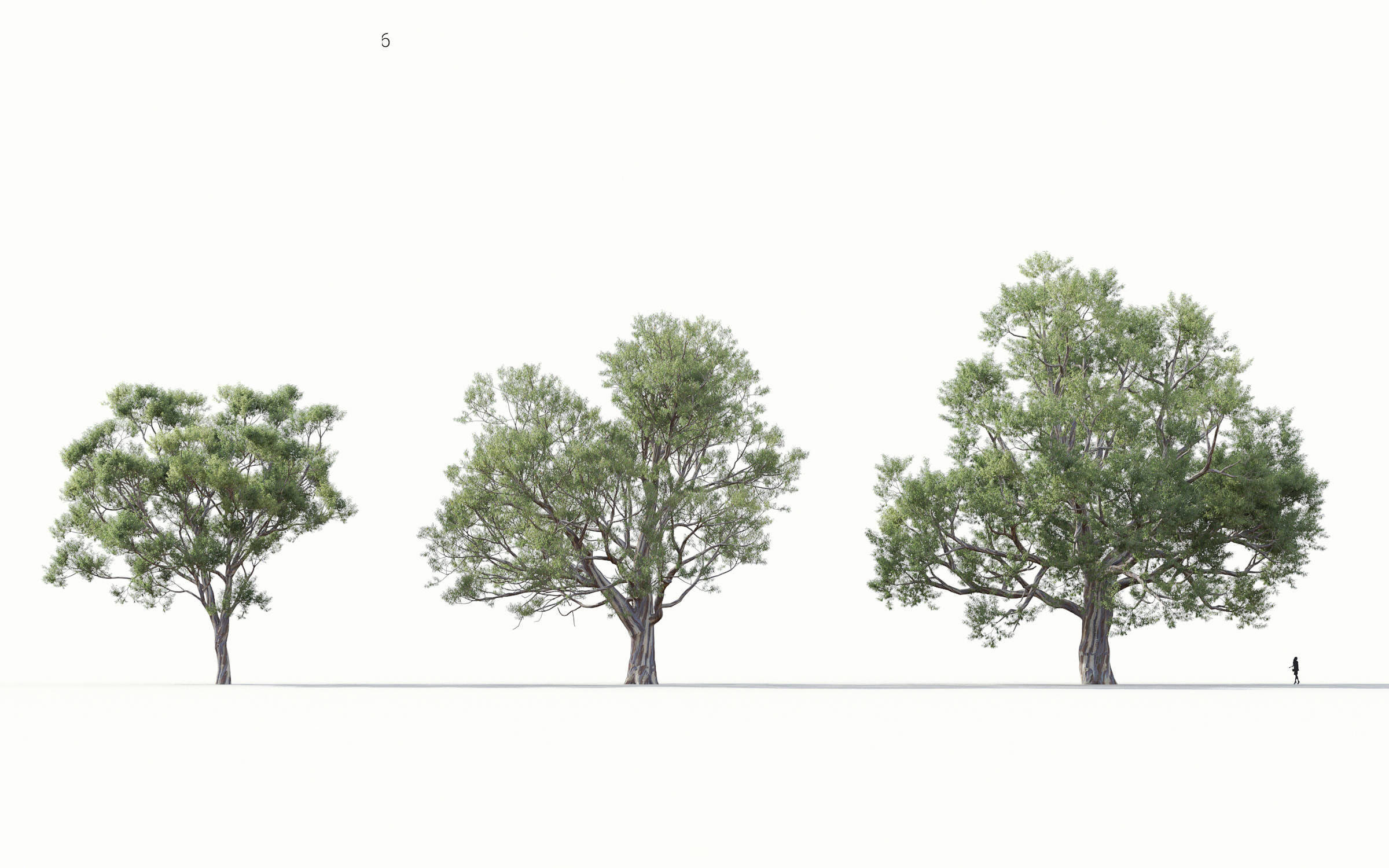 Green trees Collection - Include GrowFX and Mesh file 3D model_13