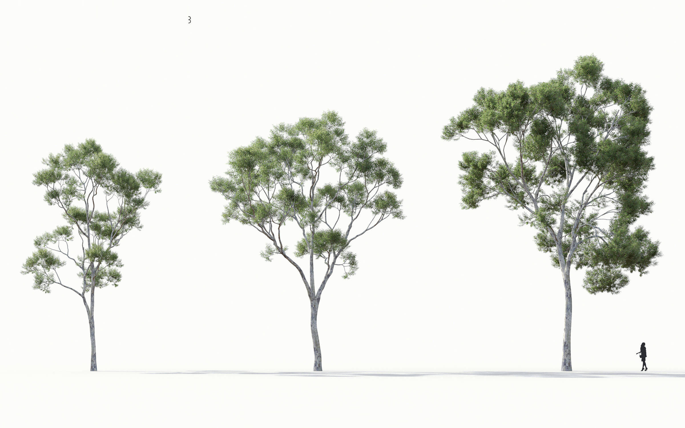 Green trees Collection - Include GrowFX and Mesh file 3D model_8