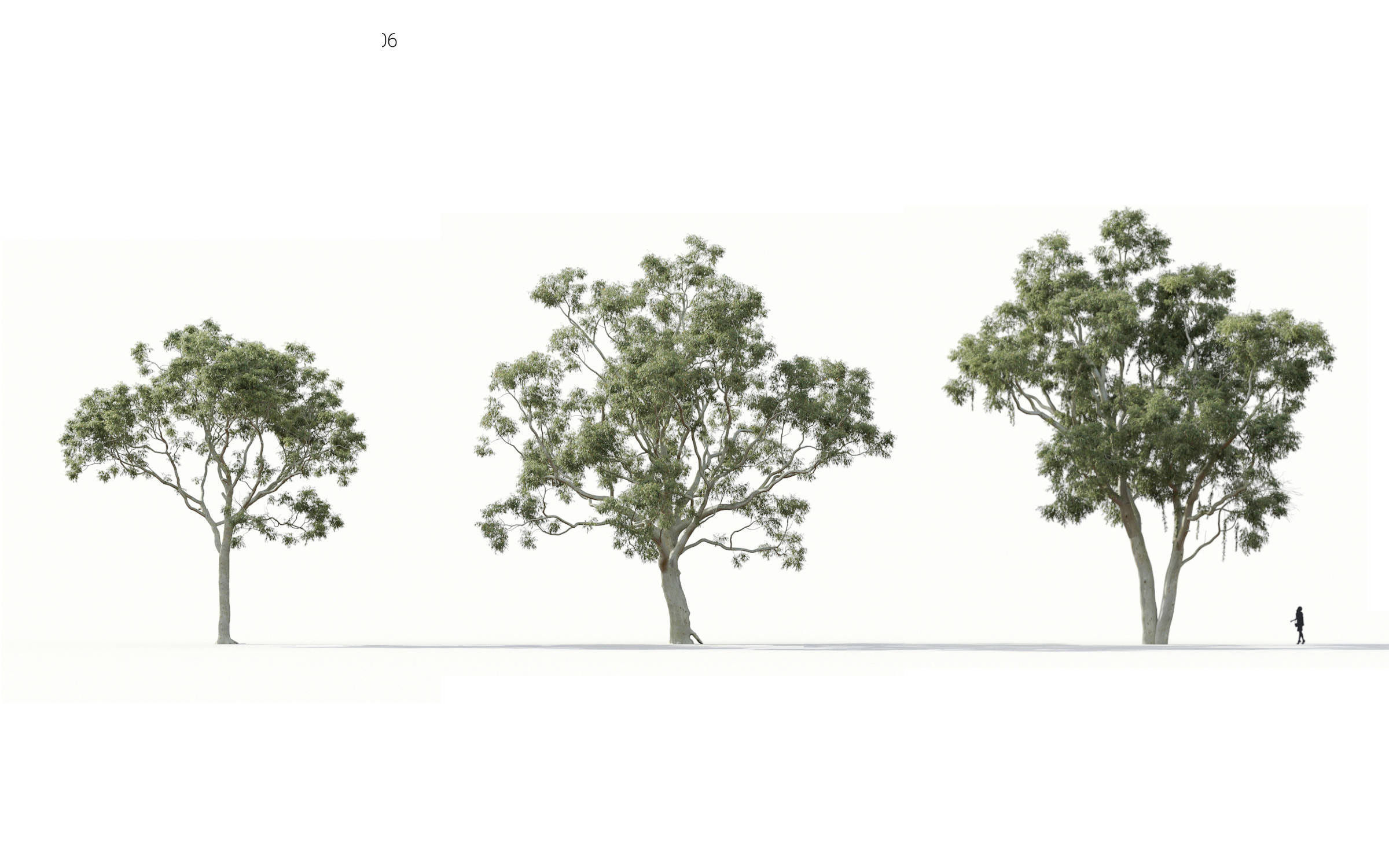 Green trees Collection - Include GrowFX and Mesh file 3D model_7