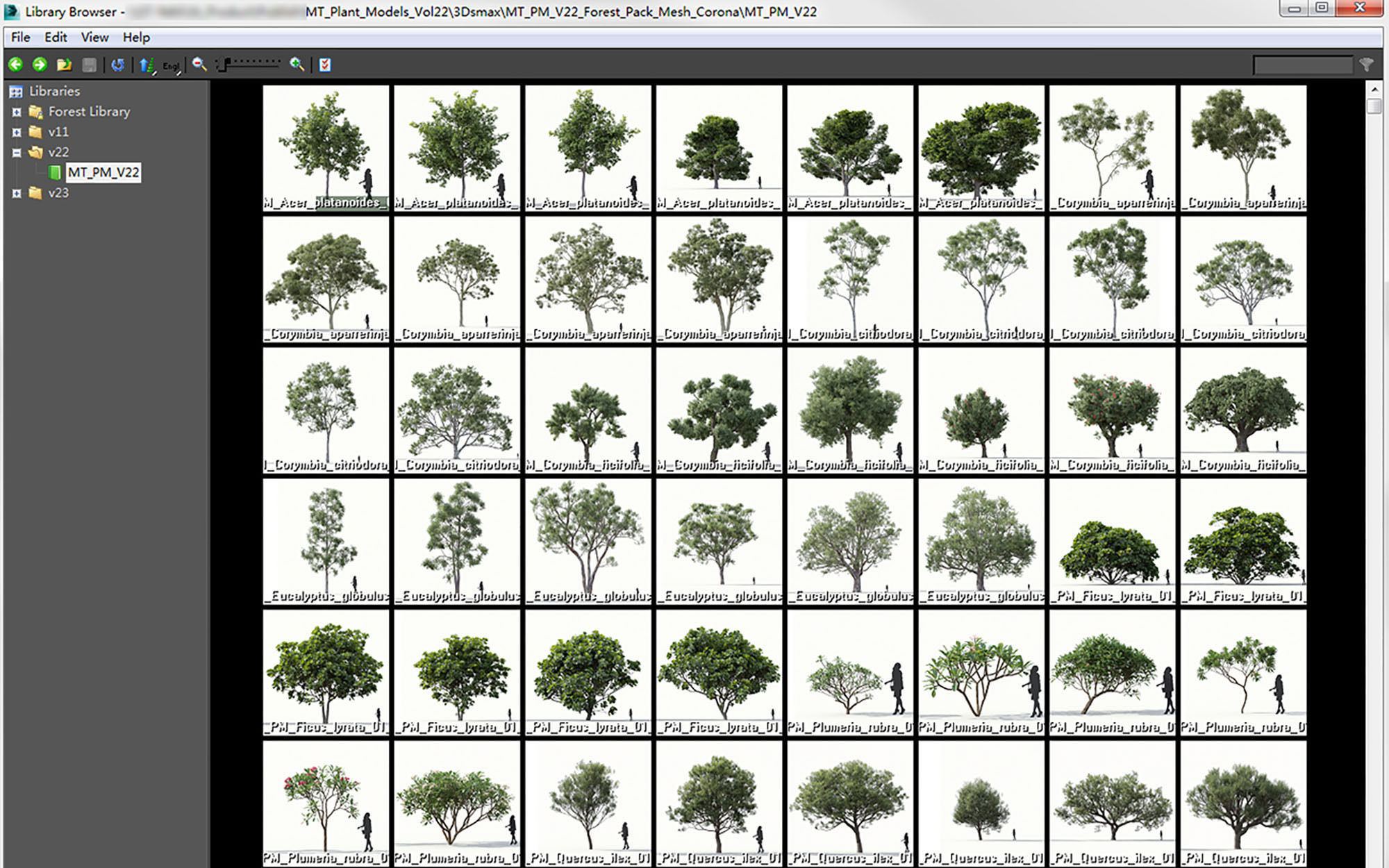 Green trees Collection - Include GrowFX and Mesh file 3D model_2