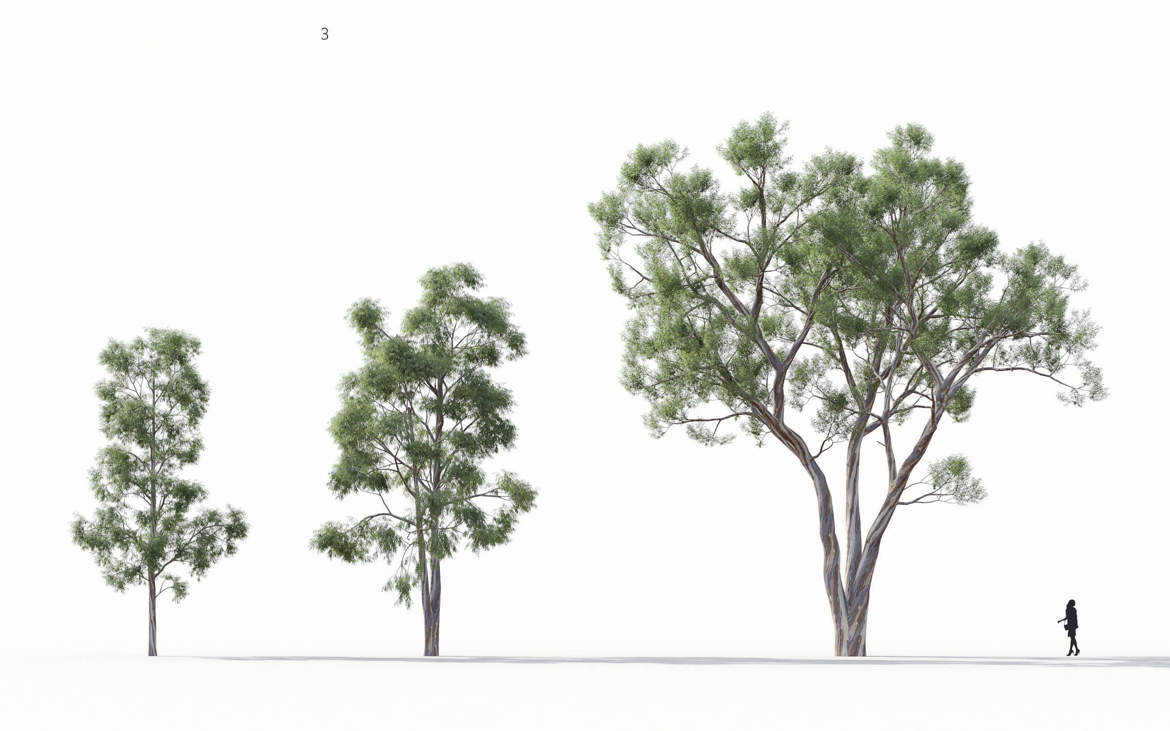 Green trees Collection - Include GrowFX and Mesh file 3D model_12