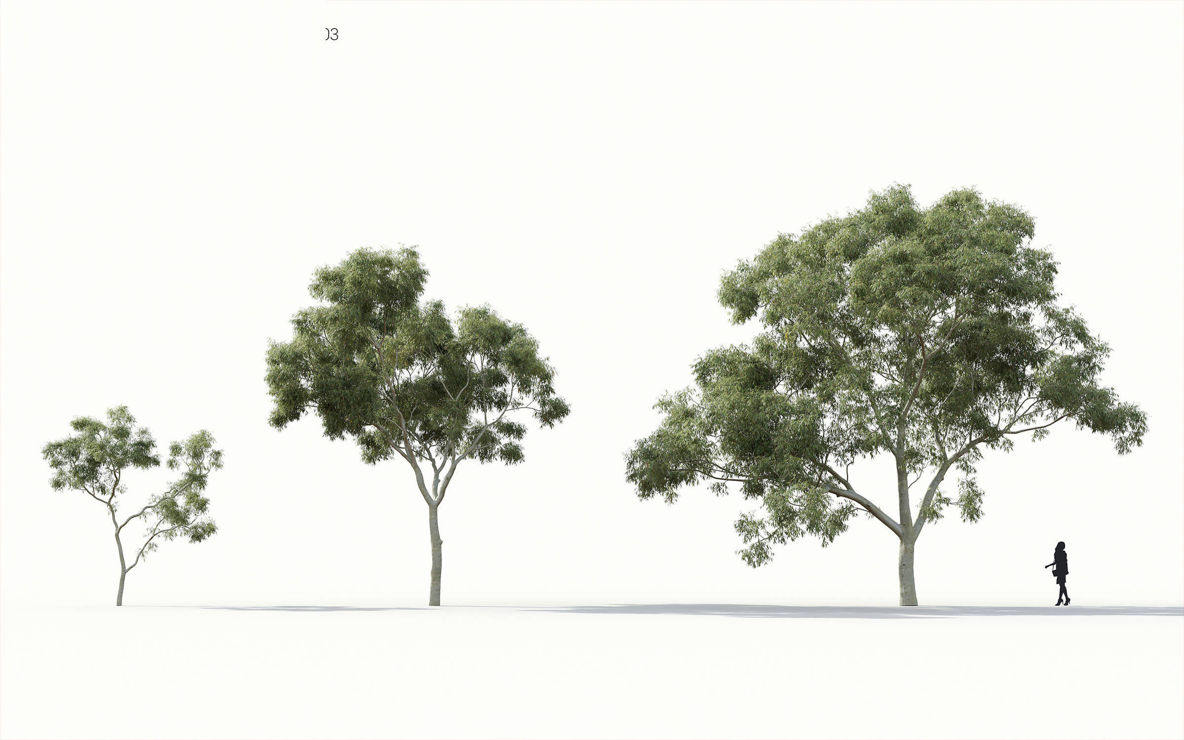 Green trees Collection - Include GrowFX and Mesh file 3D model_6