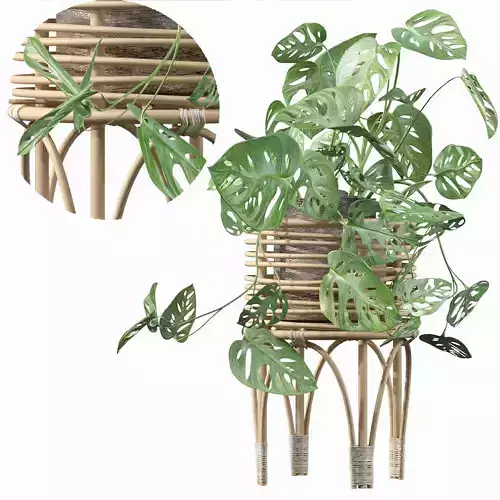 Monstera monkey mask in rattan stand 3D model