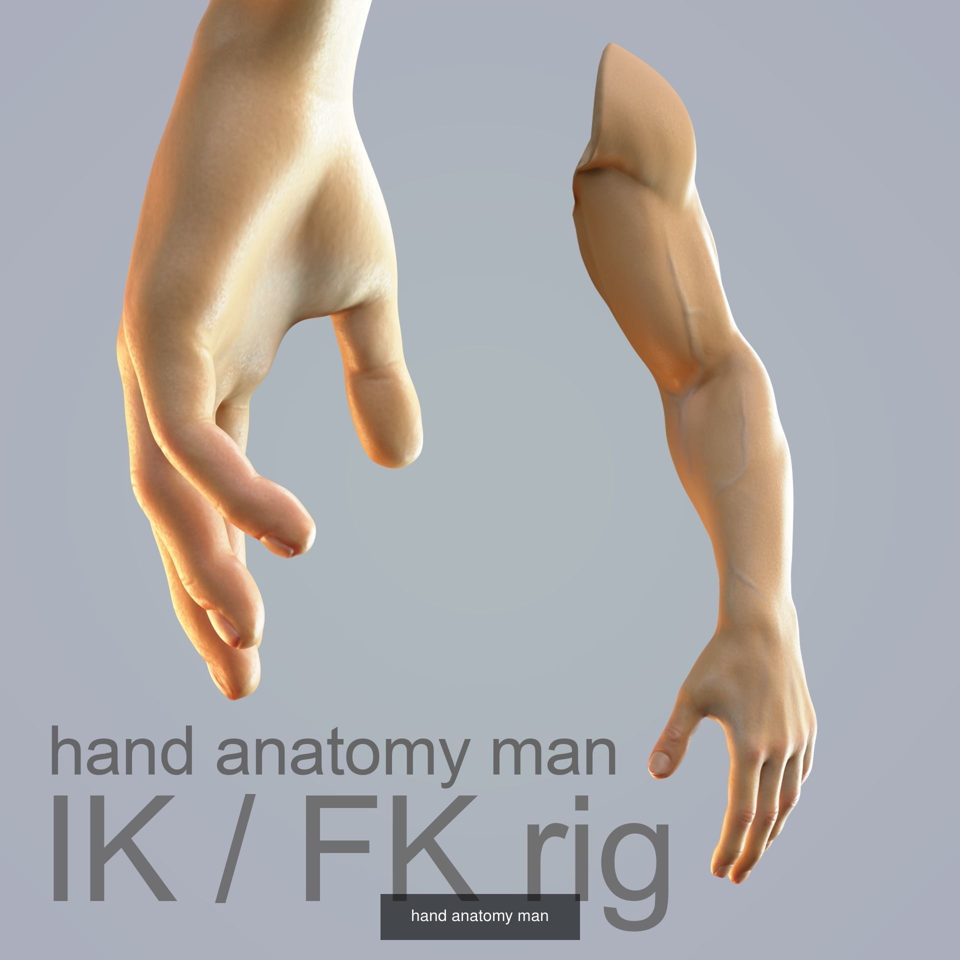 set of hands  3D Model Collection_9