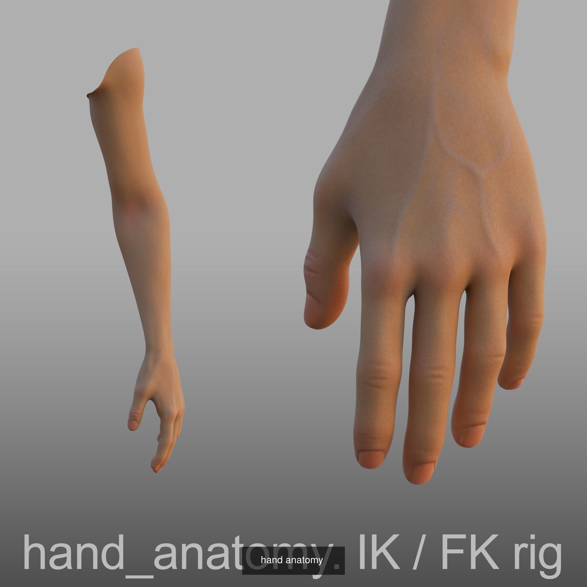 set of hands  3D Model Collection_11