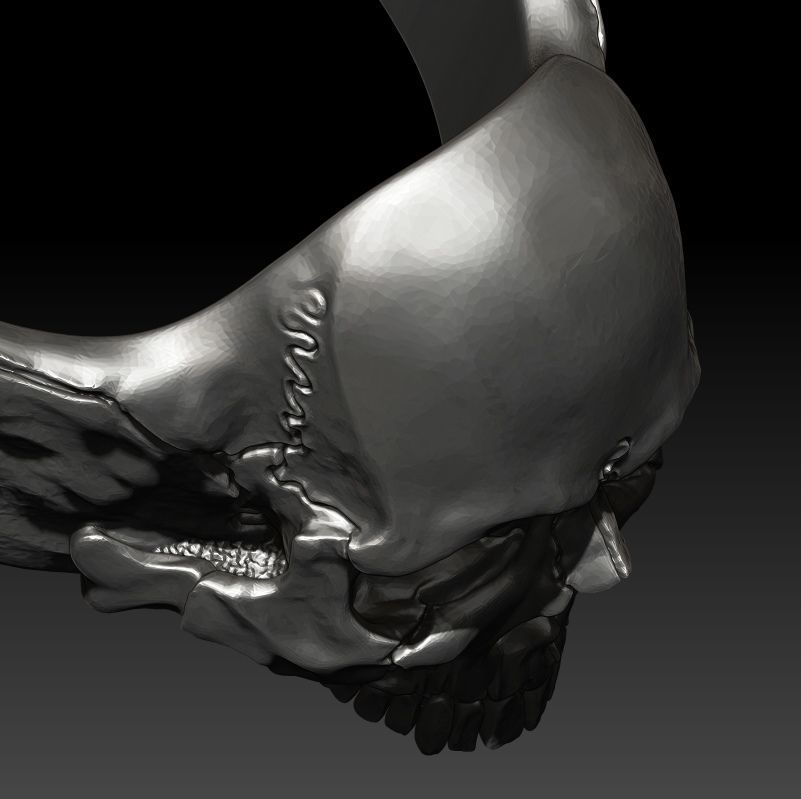 skull ring  3D print model_16