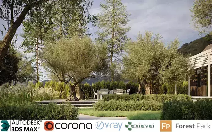 Olive Tree Collection - Include GrowFX and Mesh file 3D model
