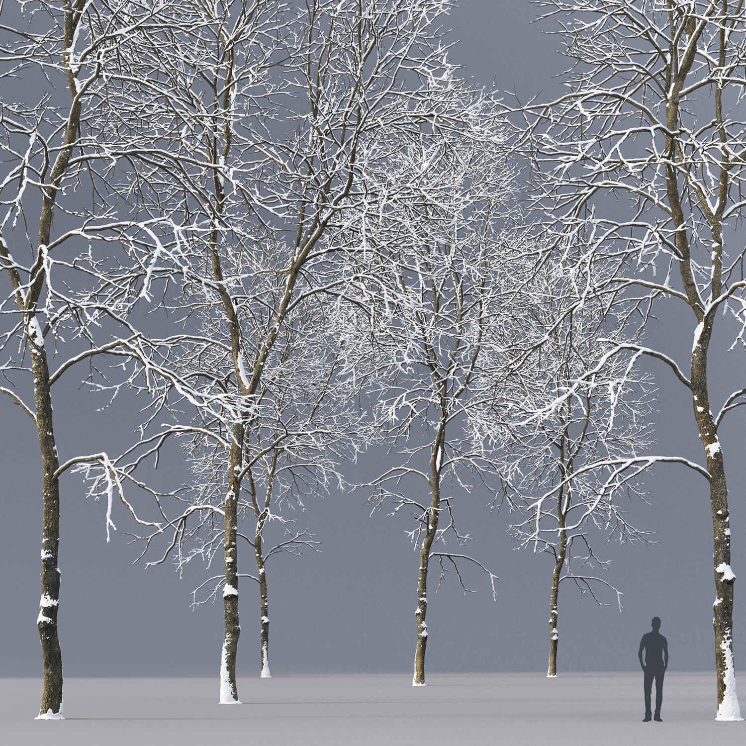 Ash-tree 05 winter H21m 3D model_1