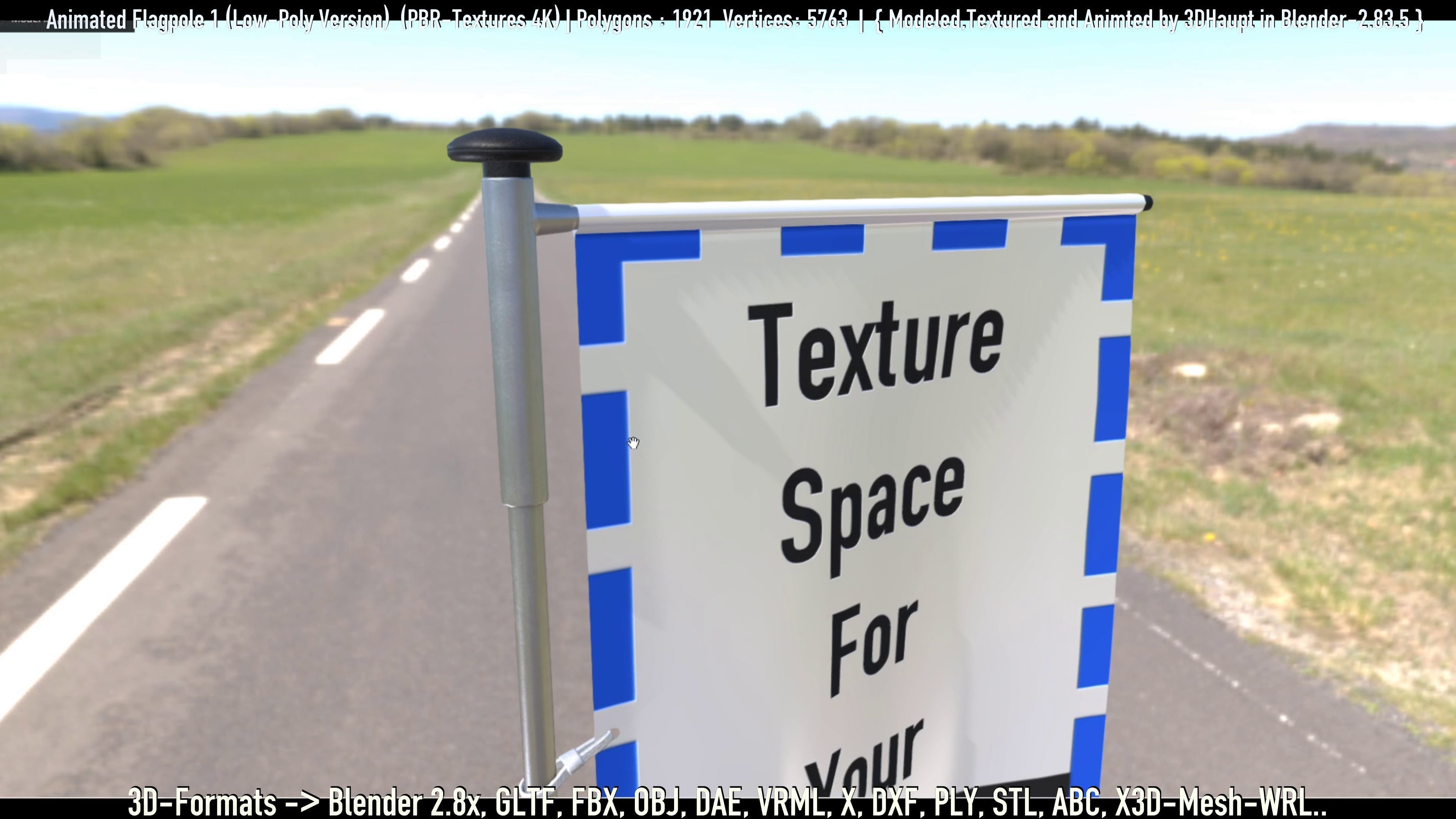 Animated Flag with Pole -1- Low-Poly Version Low-poly 3D model_12