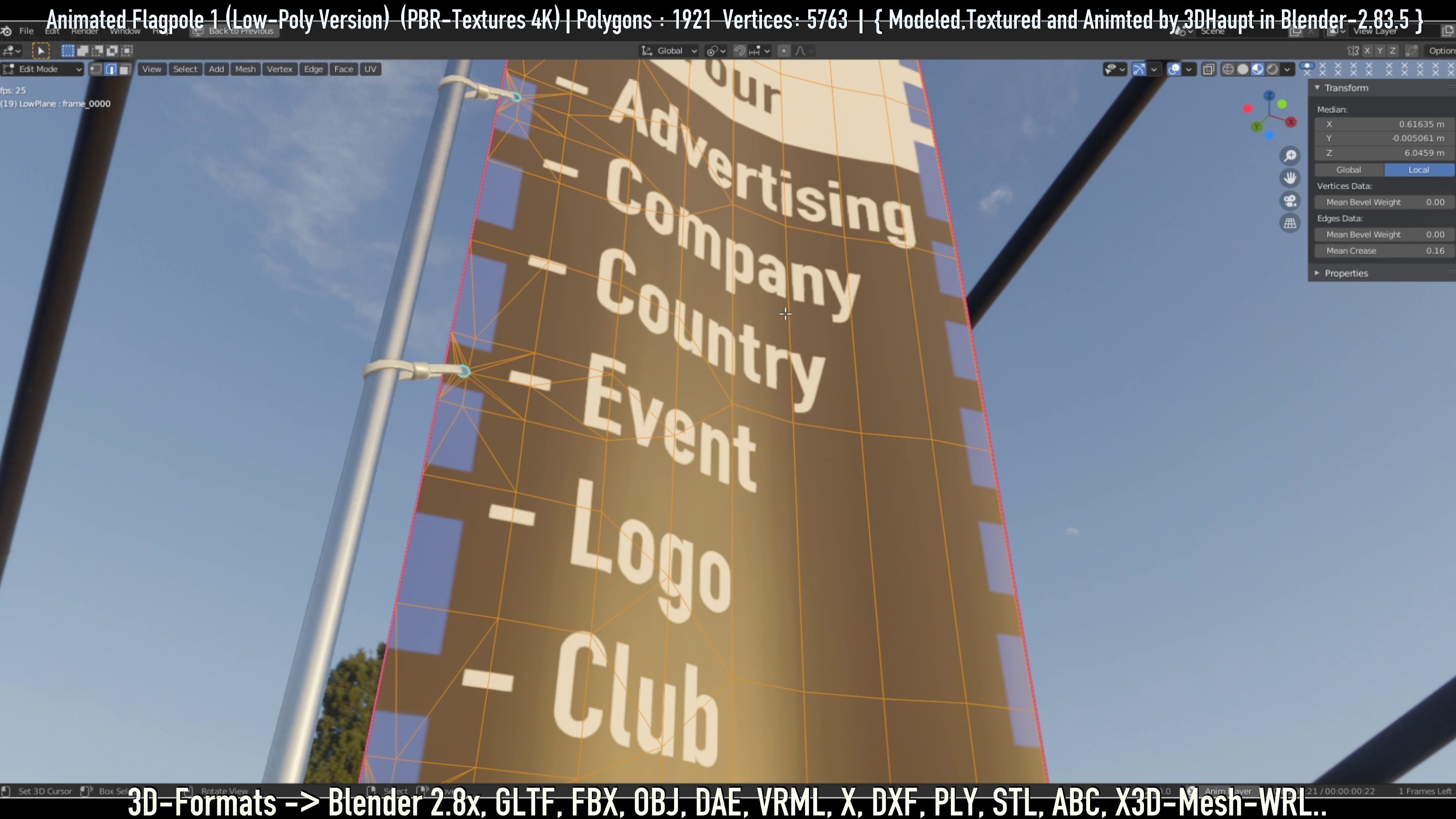 Animated Flag with Pole -1- Low-Poly Version Low-poly 3D model_29