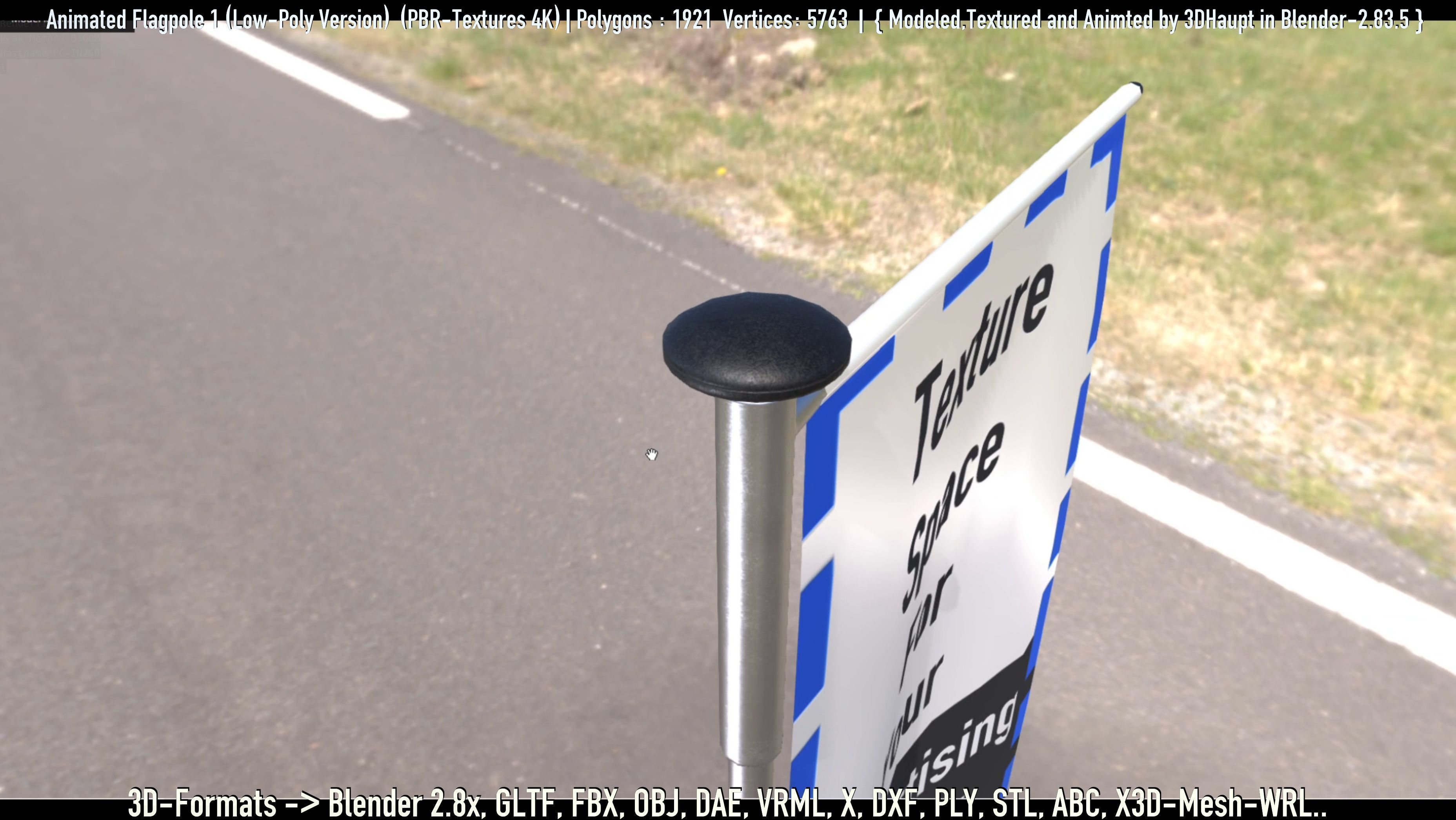 Animated Flag with Pole -1- Low-Poly Version Low-poly 3D model_76