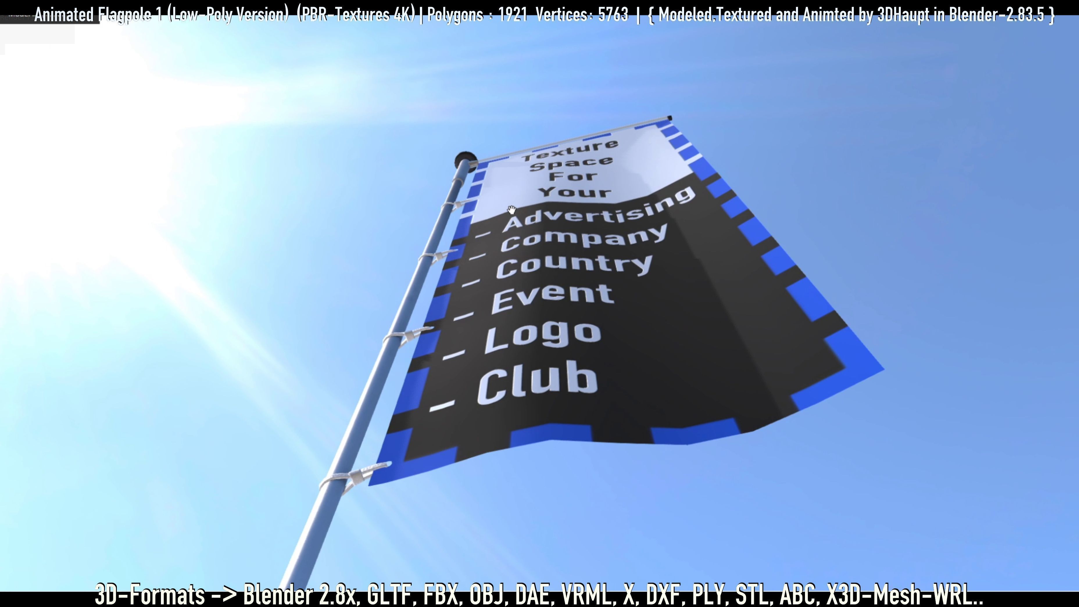 Animated Flag with Pole -1- Low-Poly Version Low-poly 3D model_79