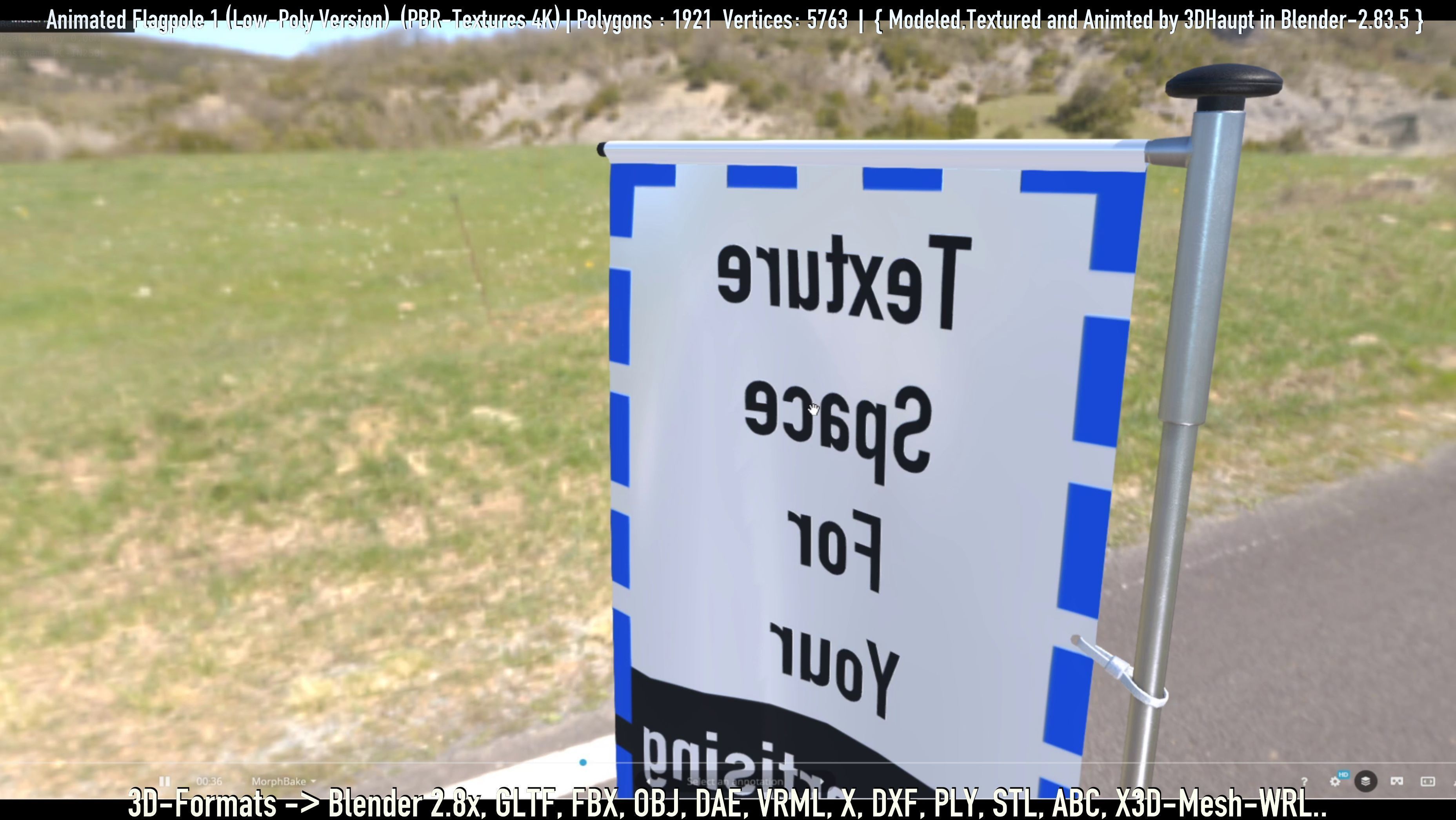 Animated Flag with Pole -1- Low-Poly Version Low-poly 3D model_77