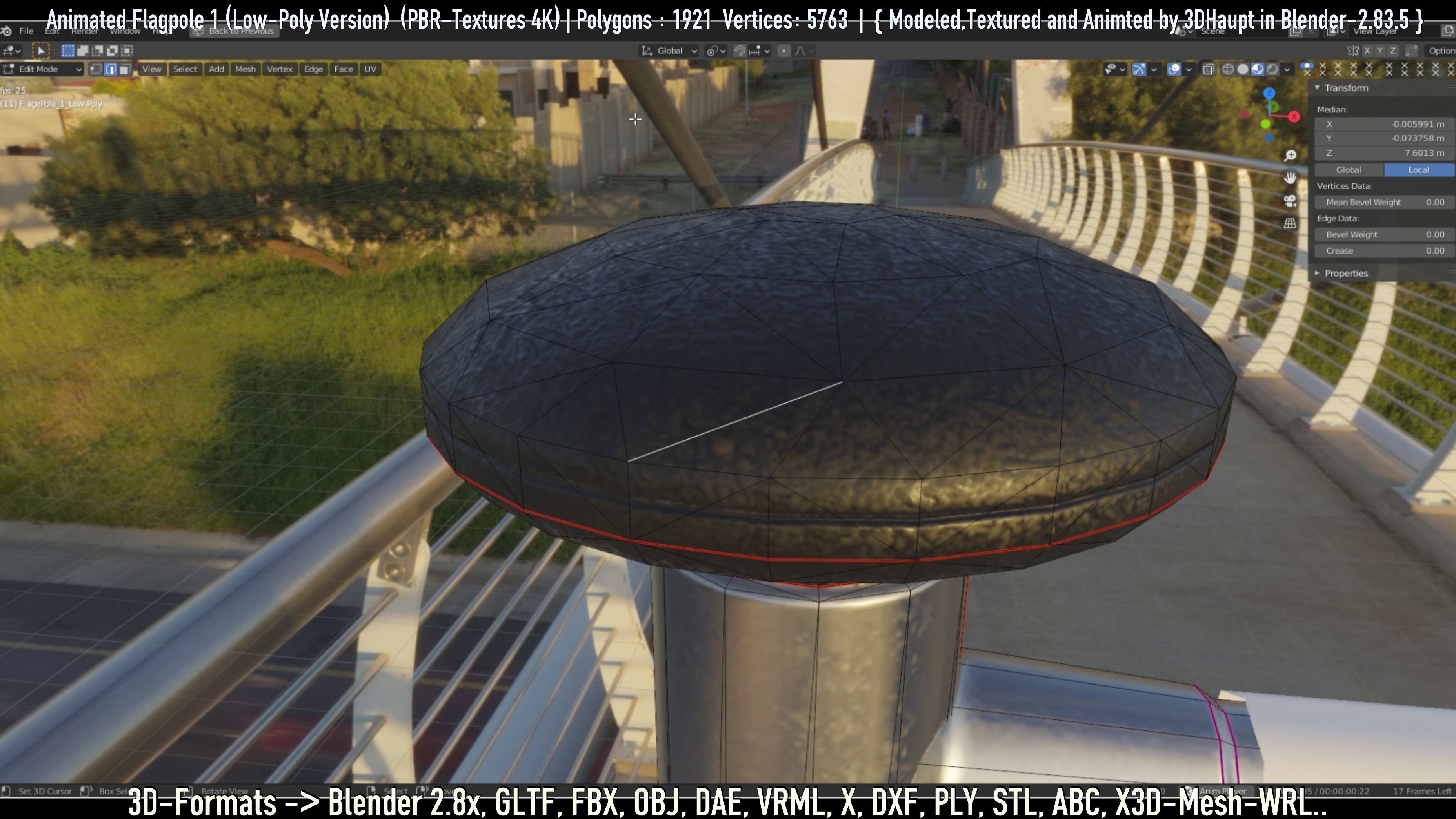 Animated Flag with Pole -1- Low-Poly Version Low-poly 3D model_37