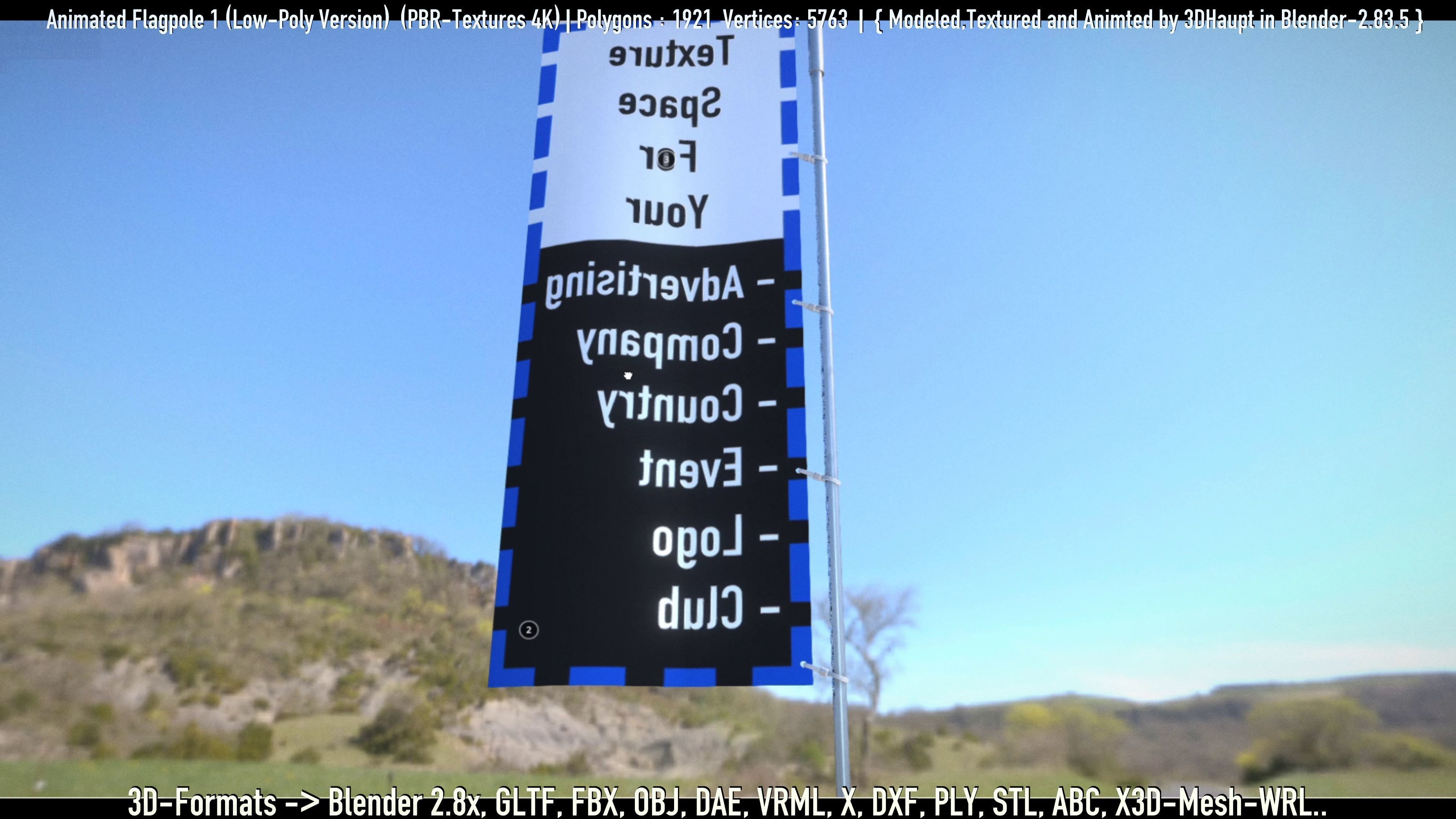 Animated Flag with Pole -1- Low-Poly Version Low-poly 3D model_71