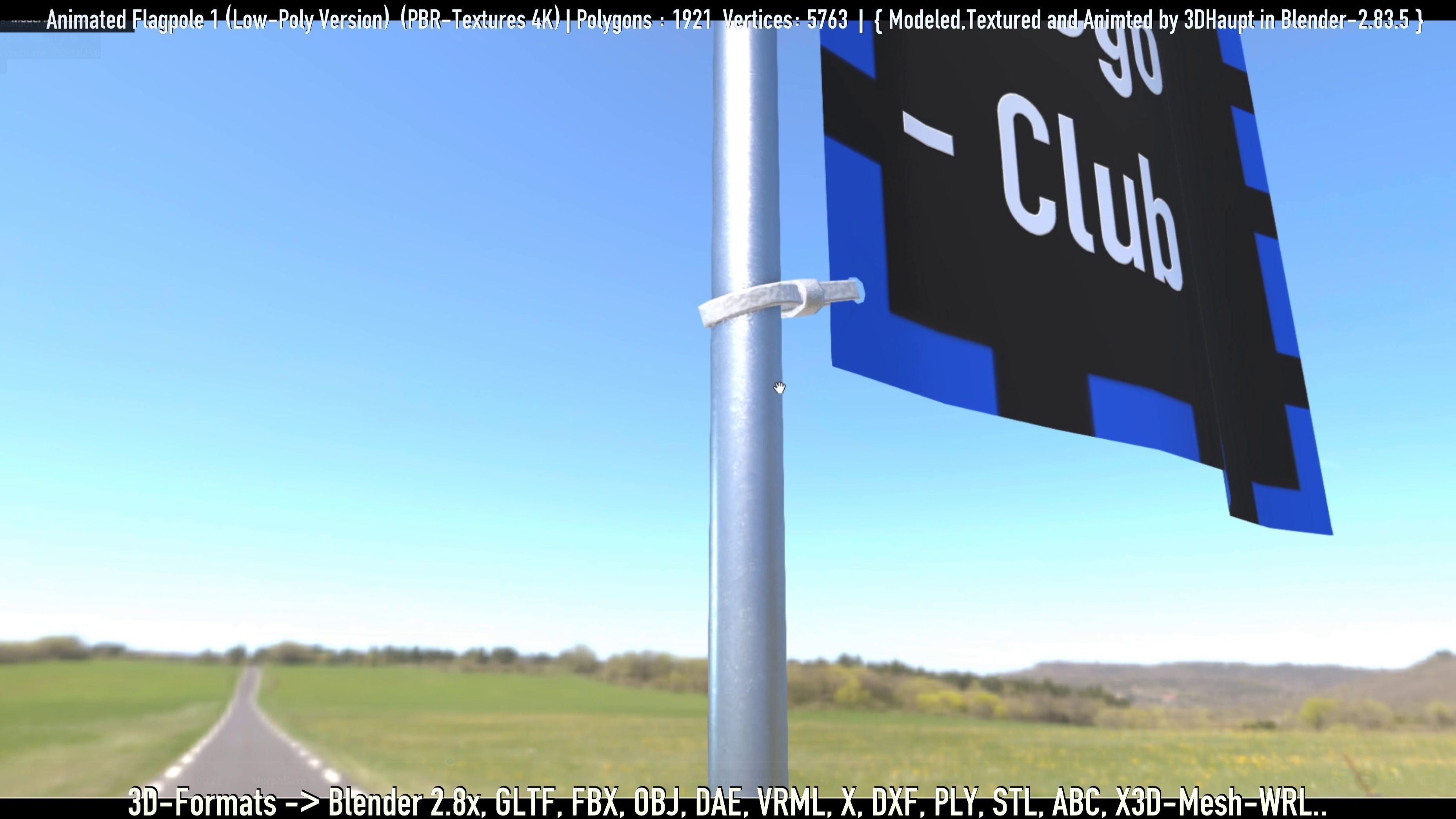 Animated Flag with Pole -1- Low-Poly Version Low-poly 3D model_70