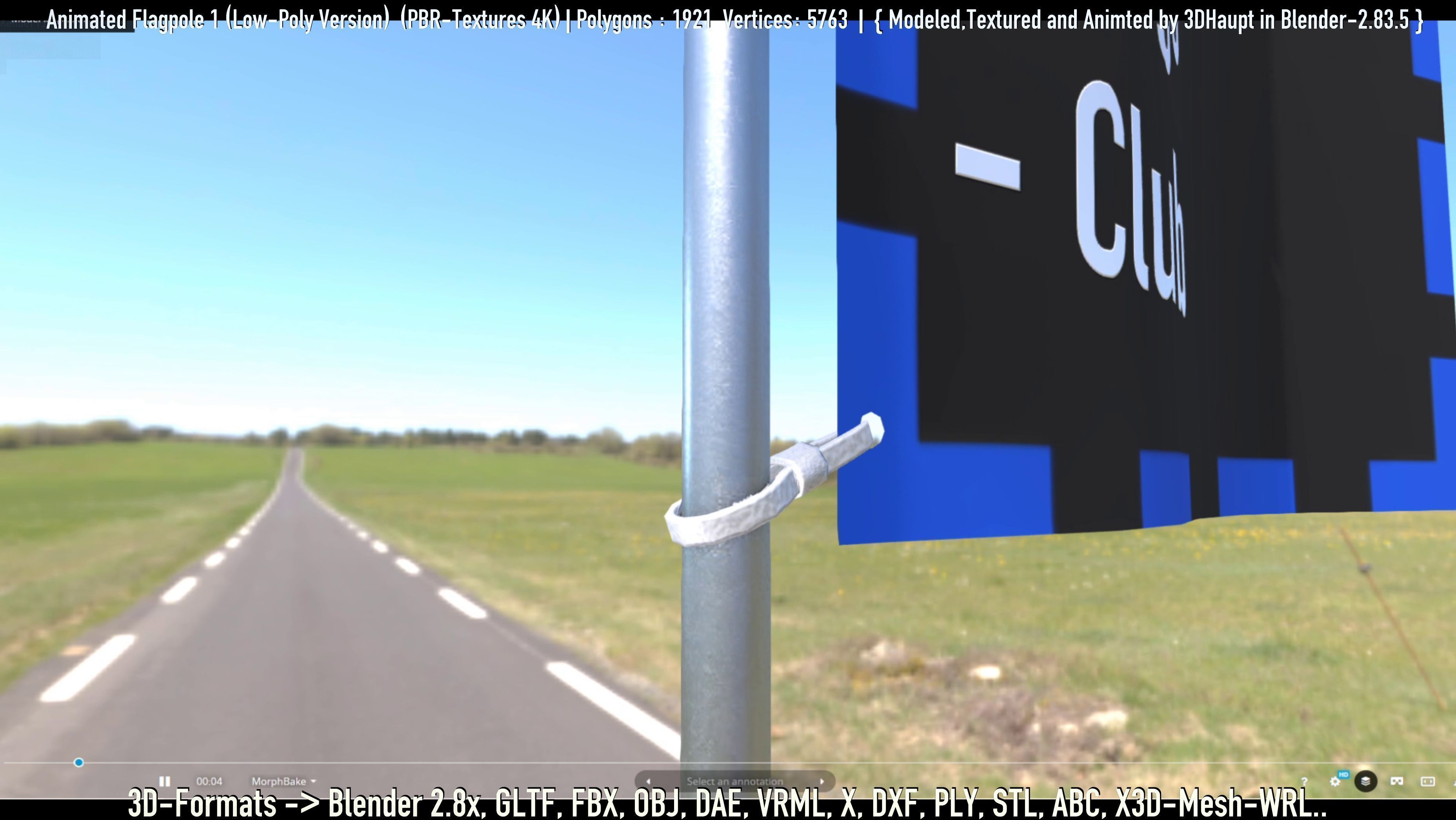 Animated Flag with Pole -1- Low-Poly Version Low-poly 3D model_65