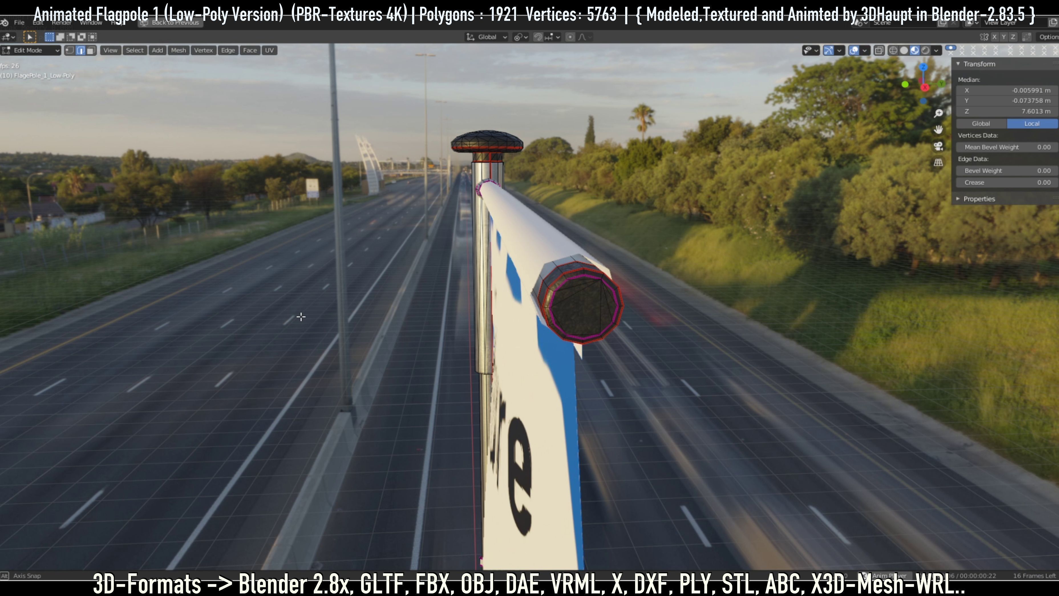 Animated Flag with Pole -1- Low-Poly Version Low-poly 3D model_33