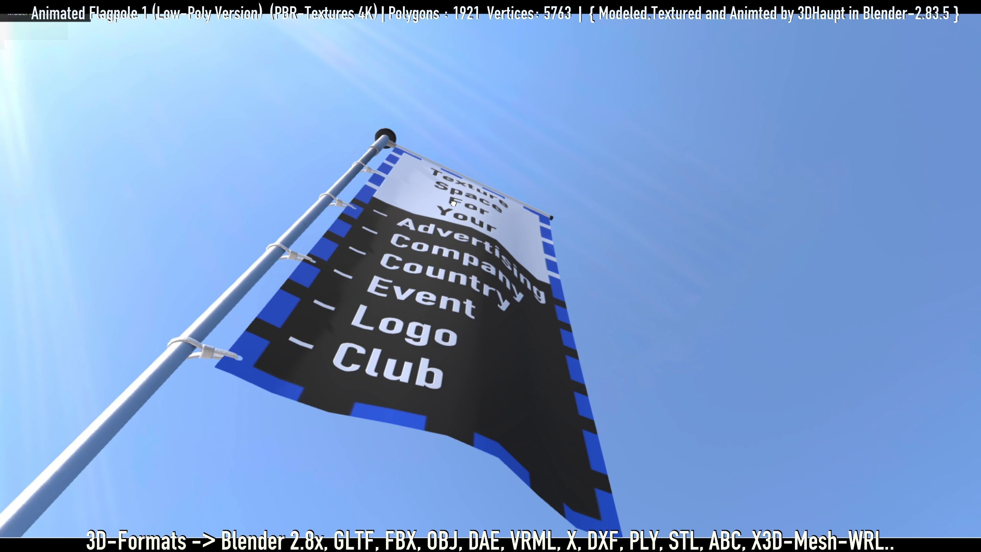 Animated Flag with Pole -1- Low-Poly Version Low-poly 3D model_46