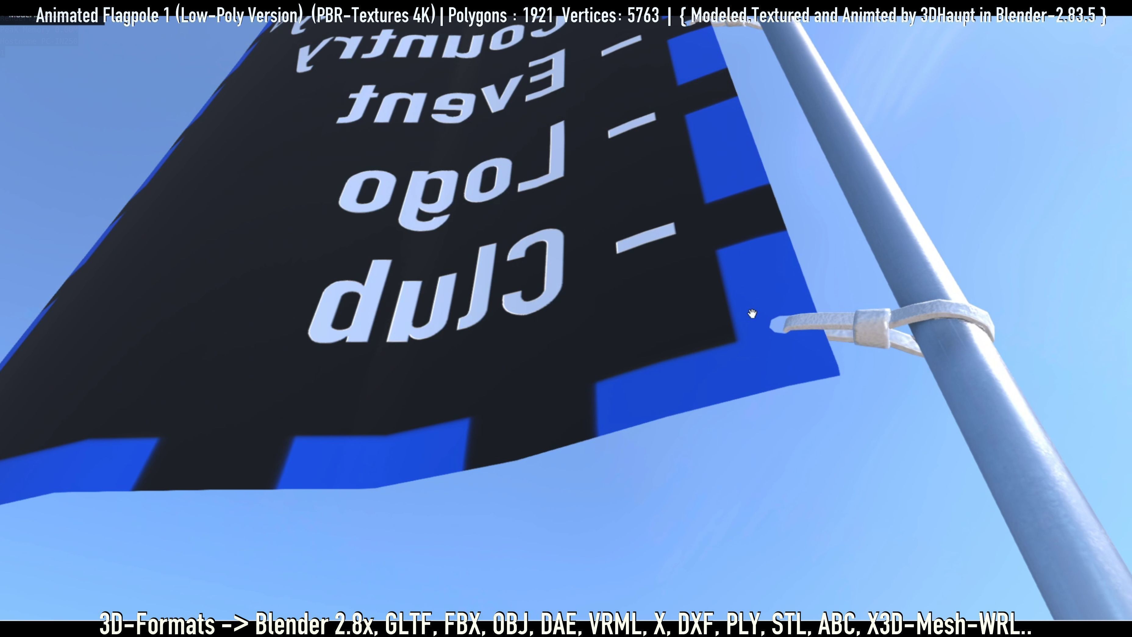 Animated Flag with Pole -1- Low-Poly Version Low-poly 3D model_63