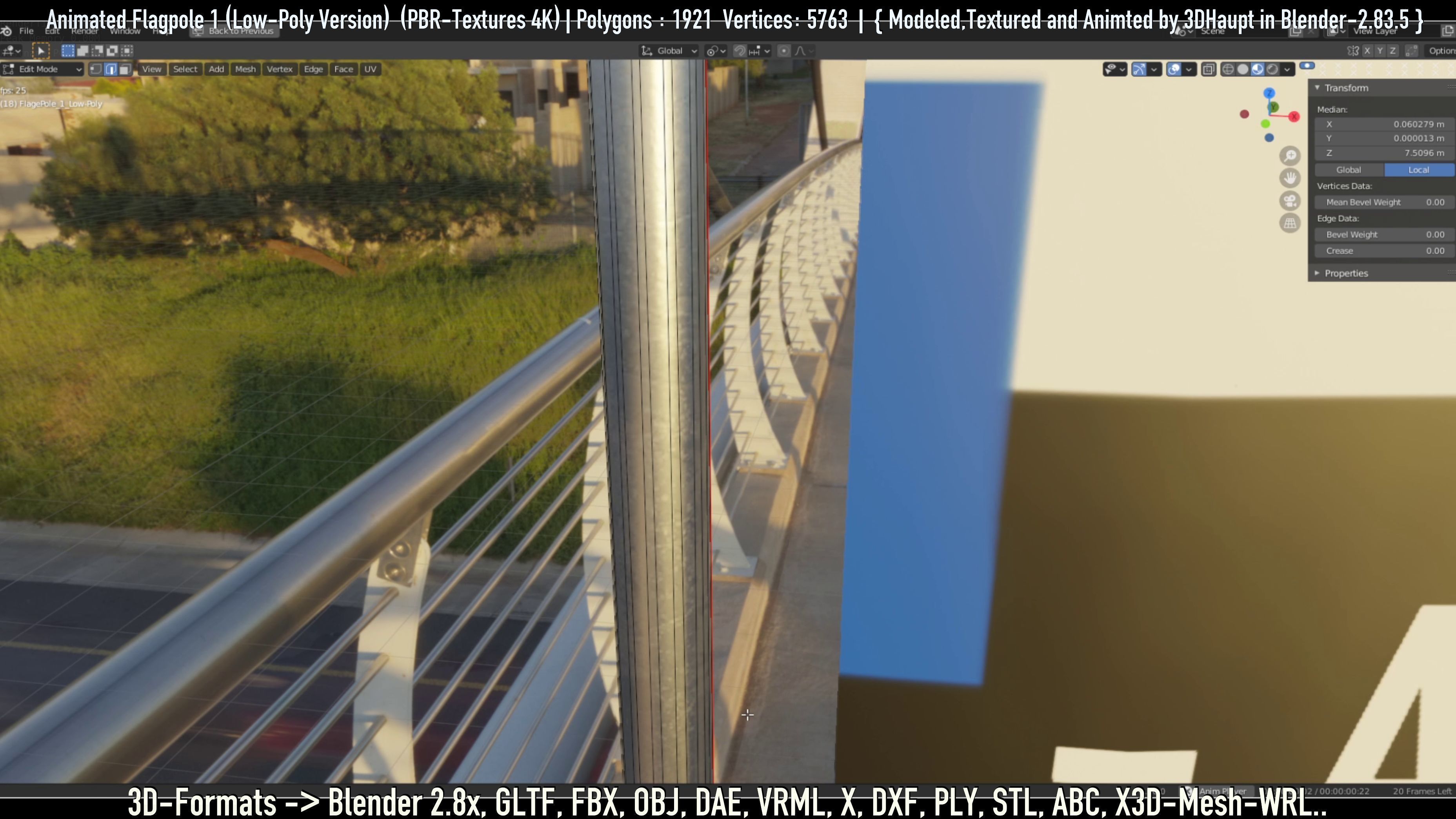 Animated Flag with Pole -1- Low-Poly Version Low-poly 3D model_39