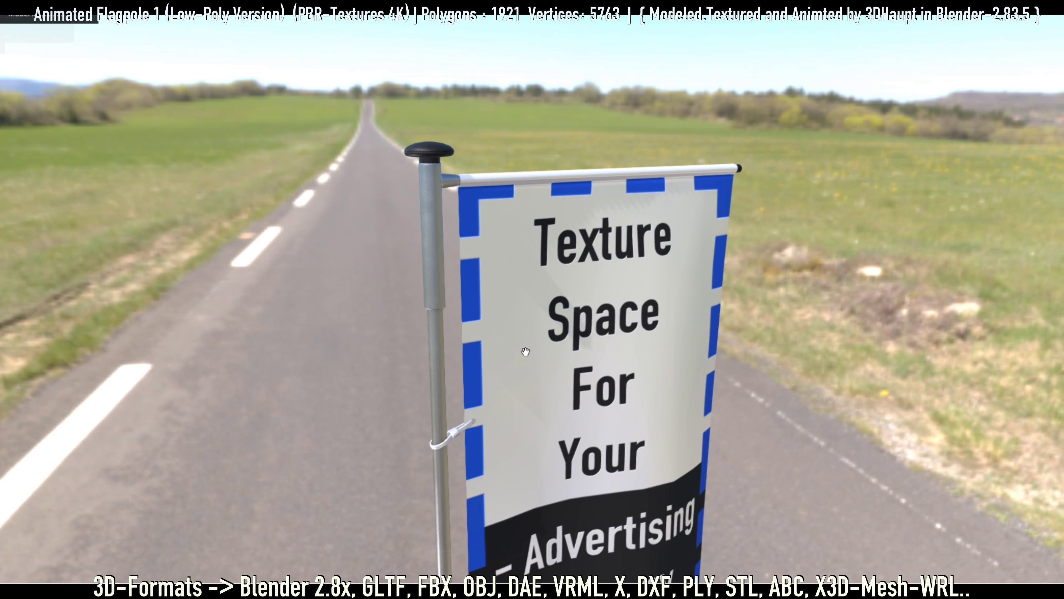 Animated Flag with Pole -1- Low-Poly Version Low-poly 3D model_8