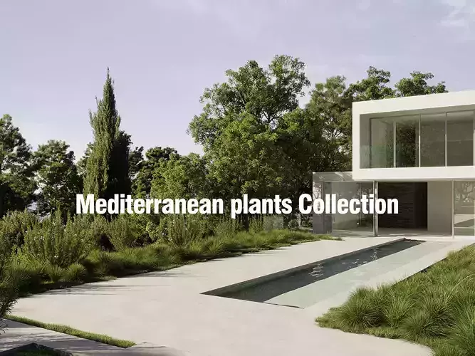 Mediterranean plants Collection - Include GrowFX and Mesh 3D model