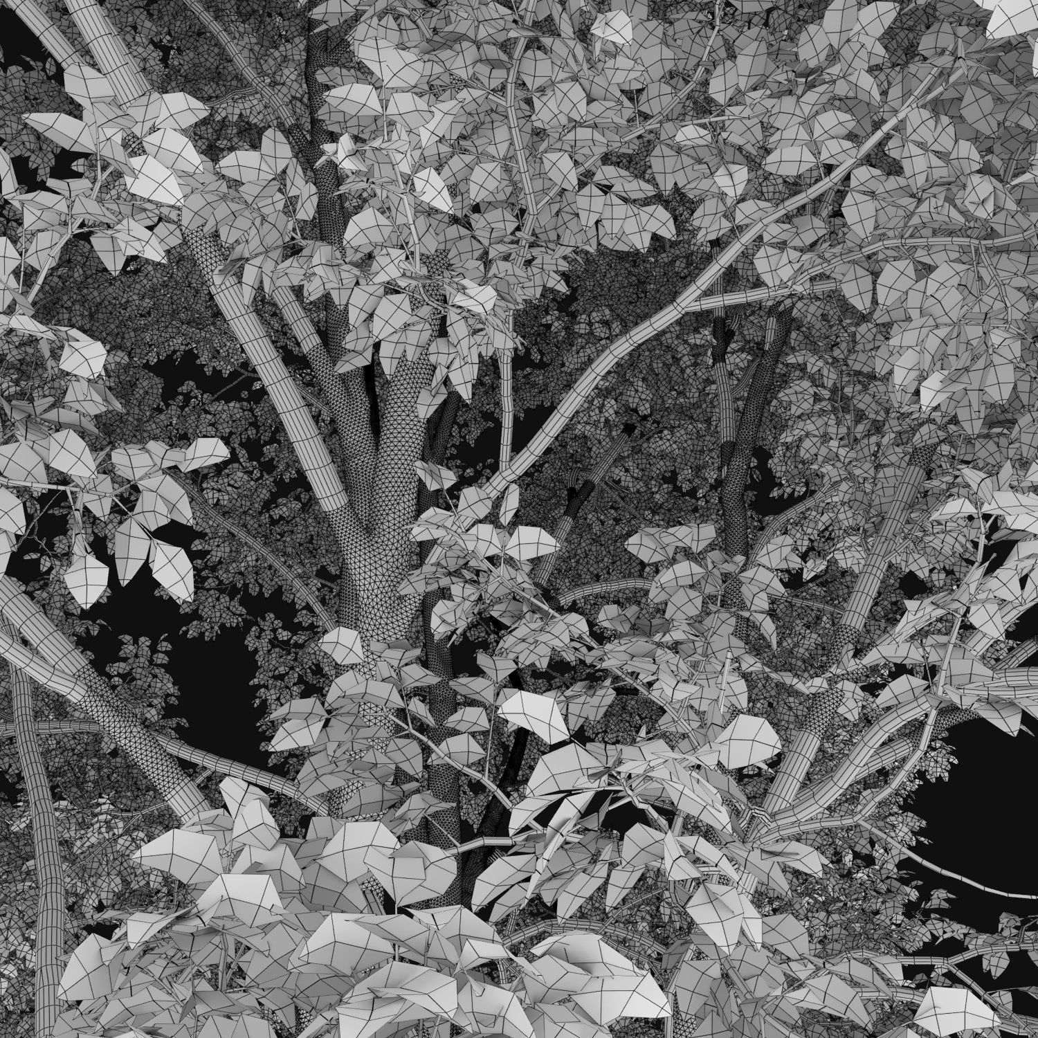 Ash-tree 07 H15m 3D model_3