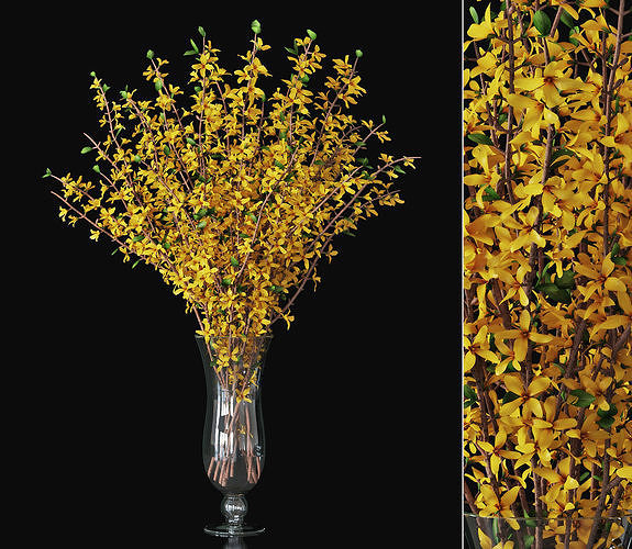 Forsythia 03 3D model
