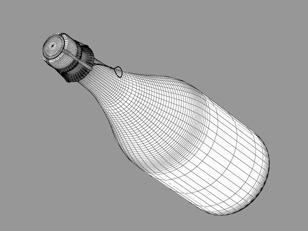 Champanger Bottle  -Dom Perignon- 3D model_3