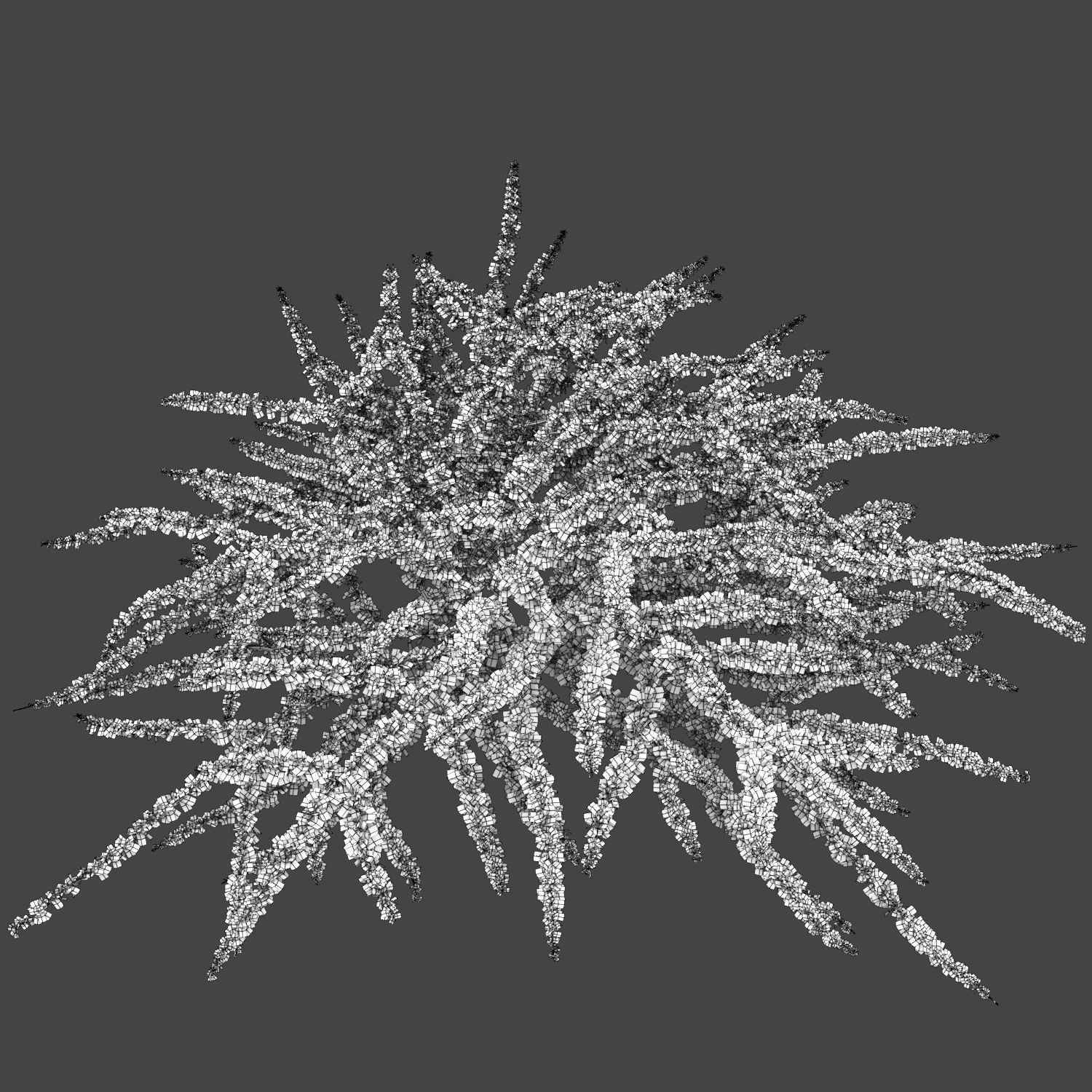Berberis Green Carpet 3D model_1