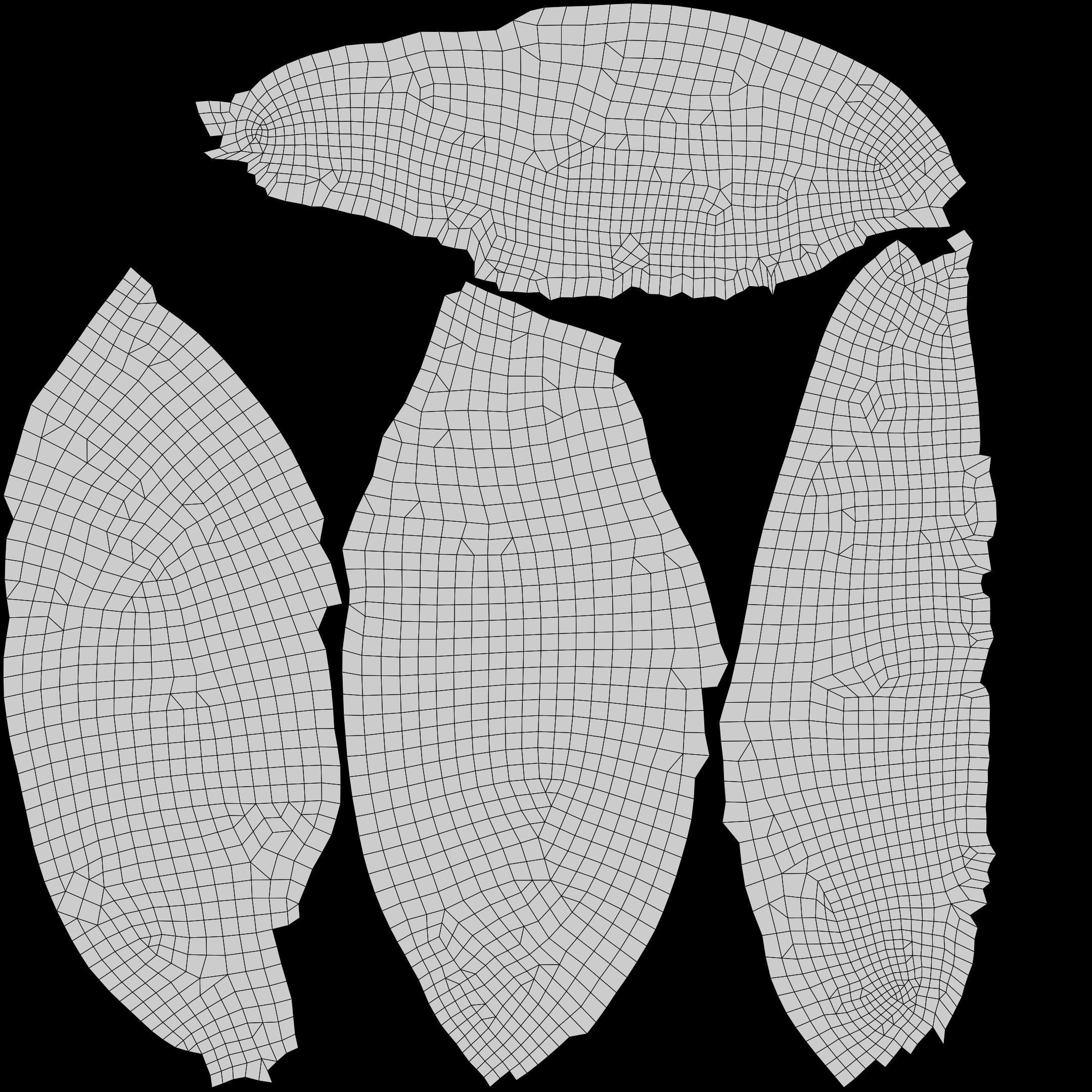 Measled Cowrie Sea Shell Low-poly 3D model_17