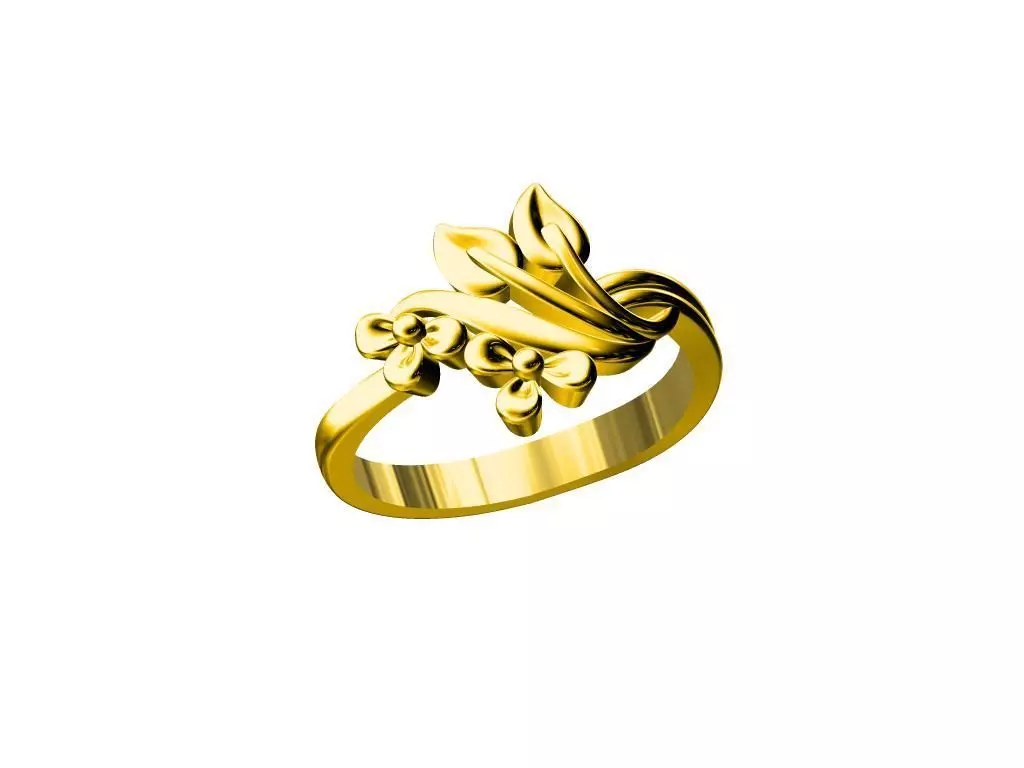 LADIES RING 3D print model_0