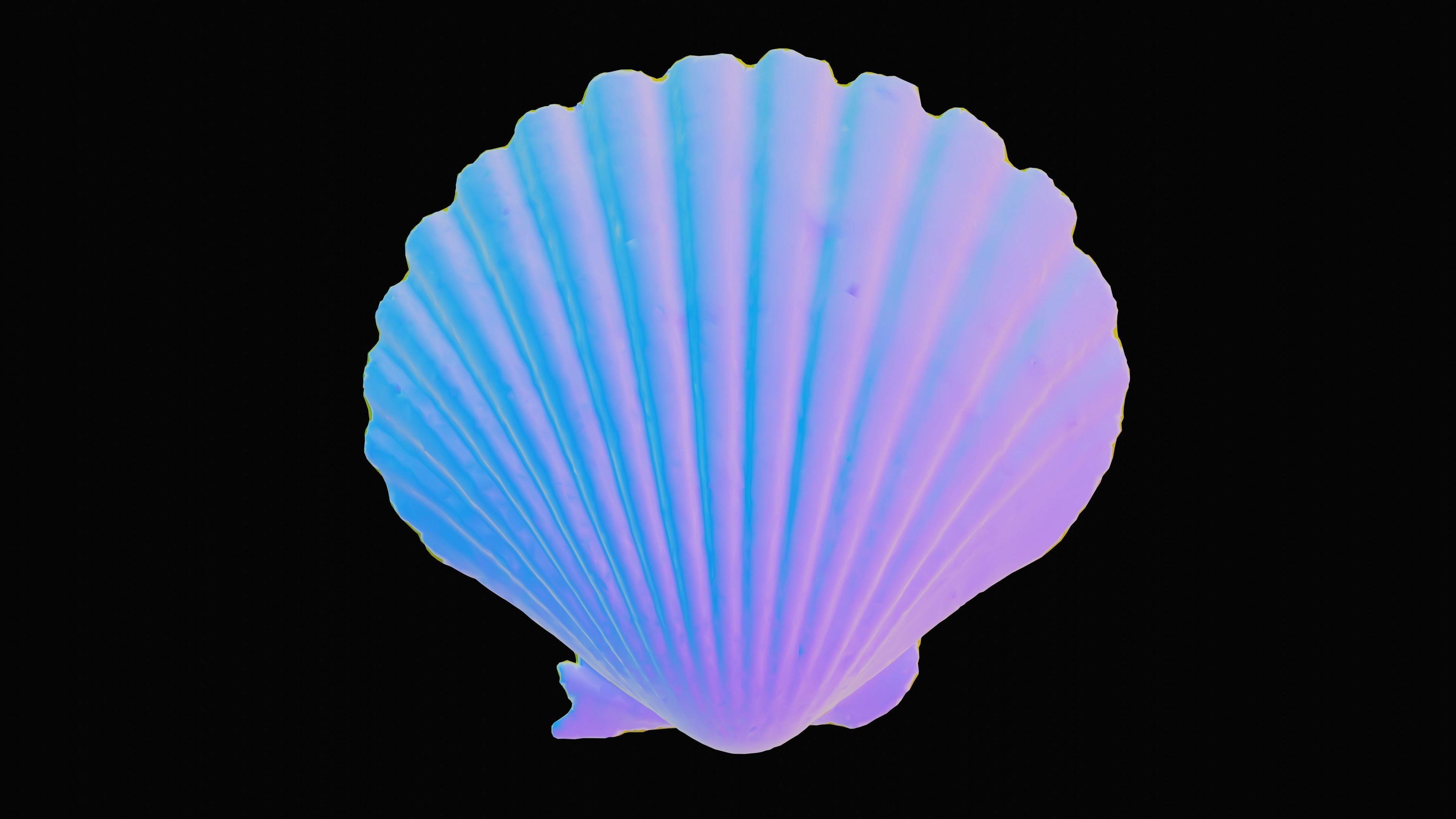 Scallop Sea Shell Low-poly 3D model_10