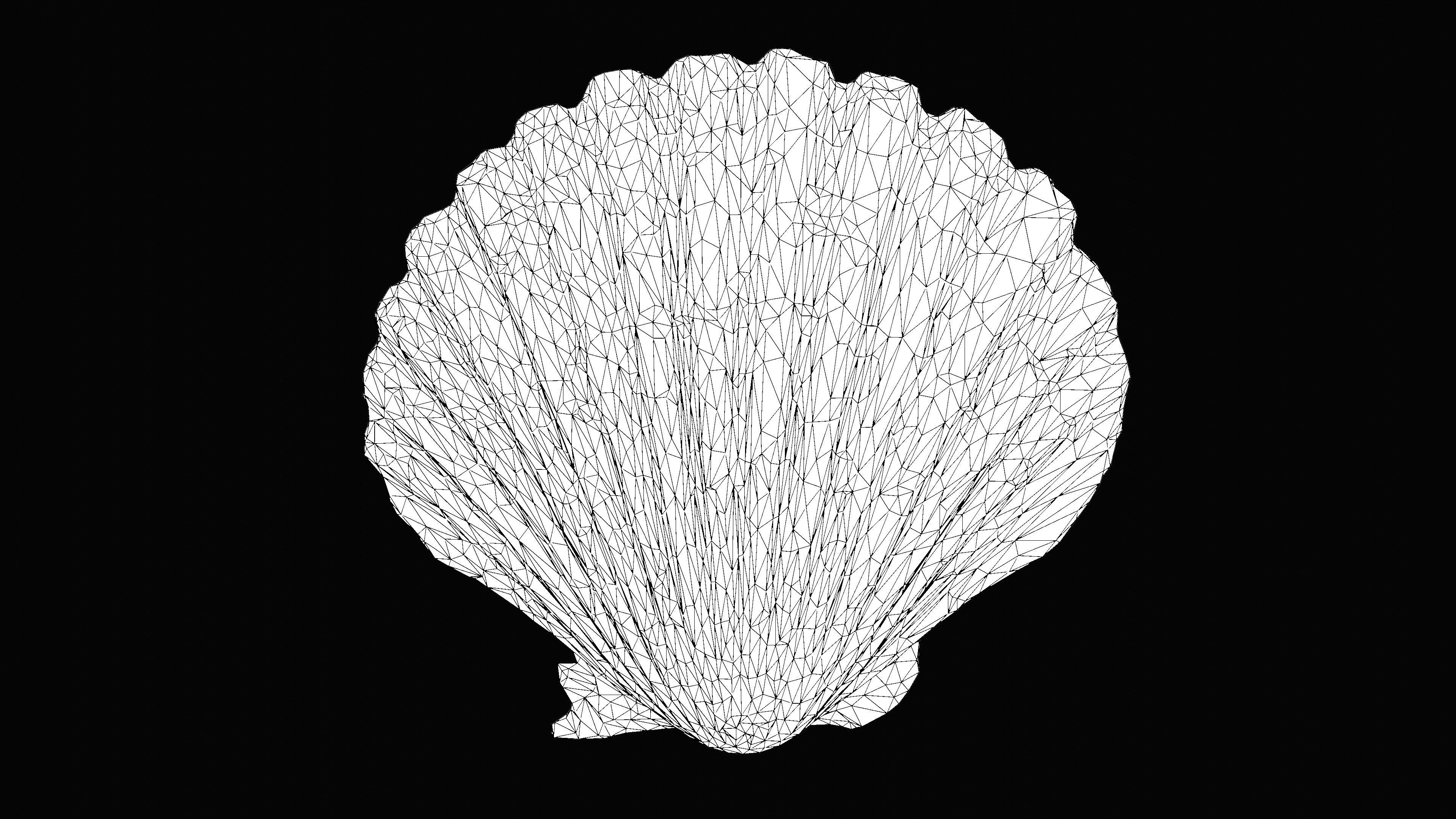 Scallop Sea Shell Low-poly 3D model_17