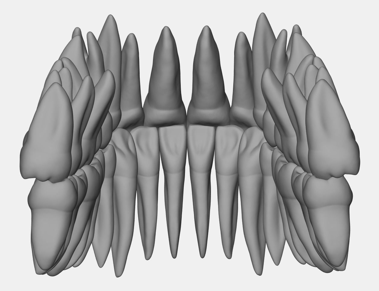Azure upper and lower jaw dental anatomy with roots 3D print model_5