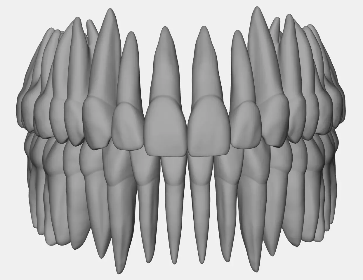 Azure upper and lower jaw dental anatomy with roots 3D print model_0