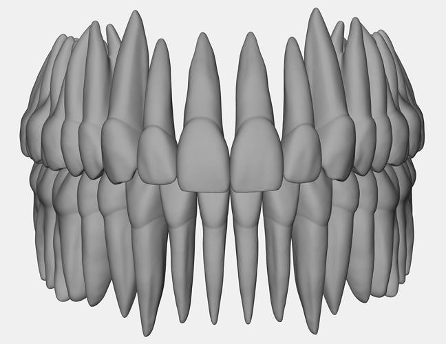 Azure upper and lower jaw dental anatomy with roots 3D print model