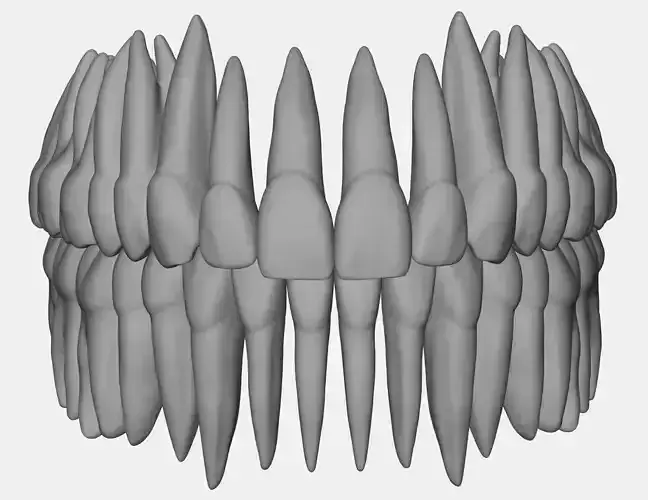 Azure upper and lower jaw dental anatomy with roots
