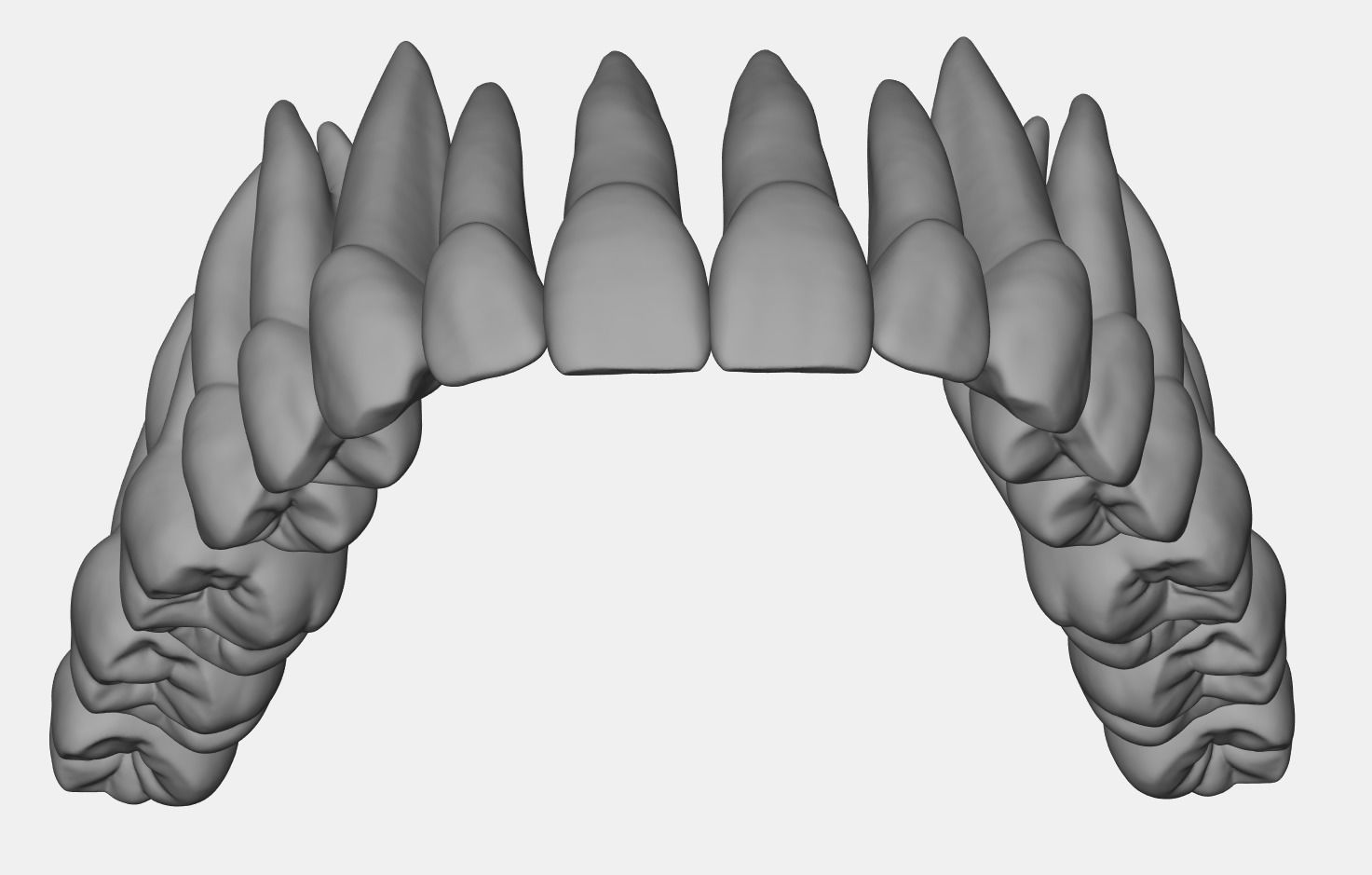 Azure upper and lower jaw dental anatomy with roots 3D print model_15