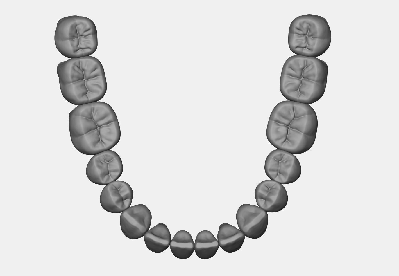 Azure upper and lower jaw dental anatomy with roots 3D print model_14