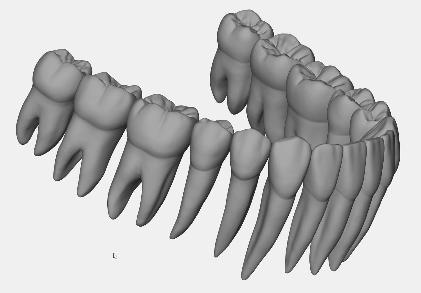 Azure upper and lower jaw dental anatomy with roots 3D print model_20