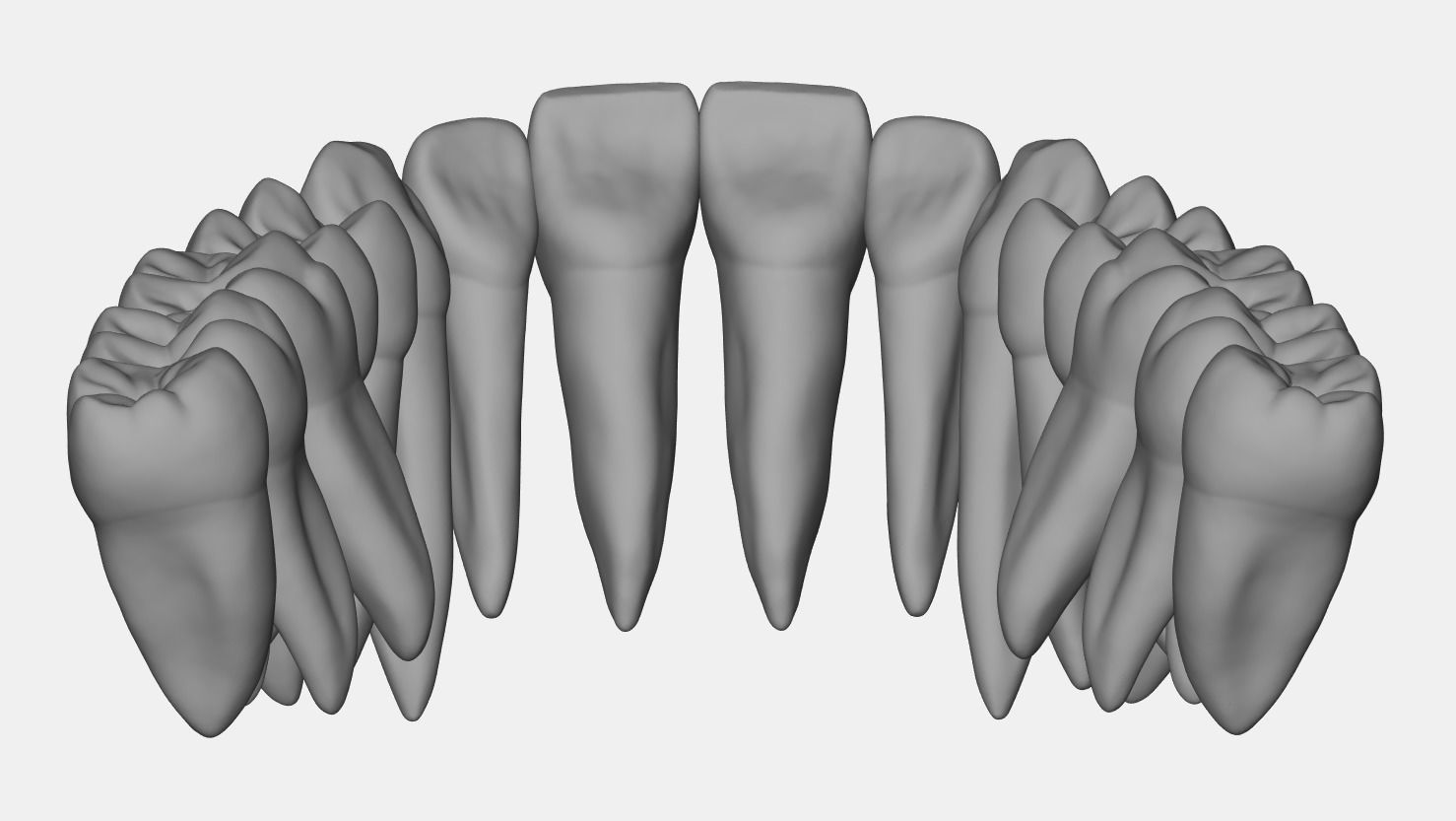 Azure upper and lower jaw dental anatomy with roots 3D print model_16