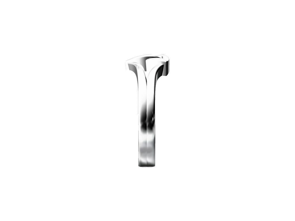 LADIES RING 3D print model_2