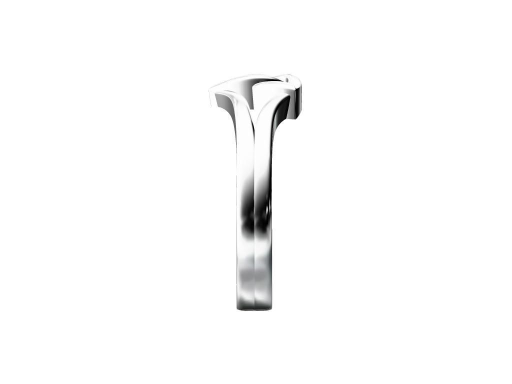 LADIES RING 3D print model_5