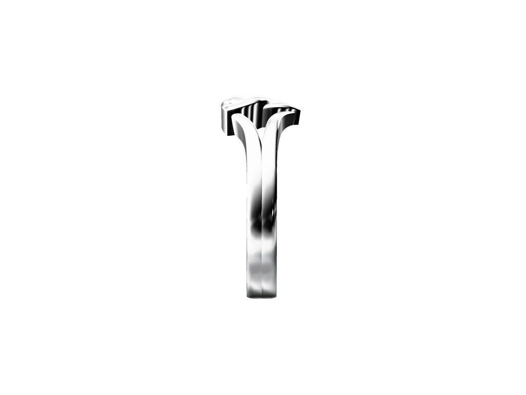 LADIES RING 3D print model_1