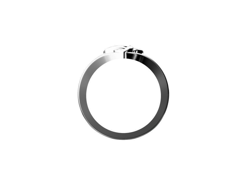 LADIES RING 3D print model_3